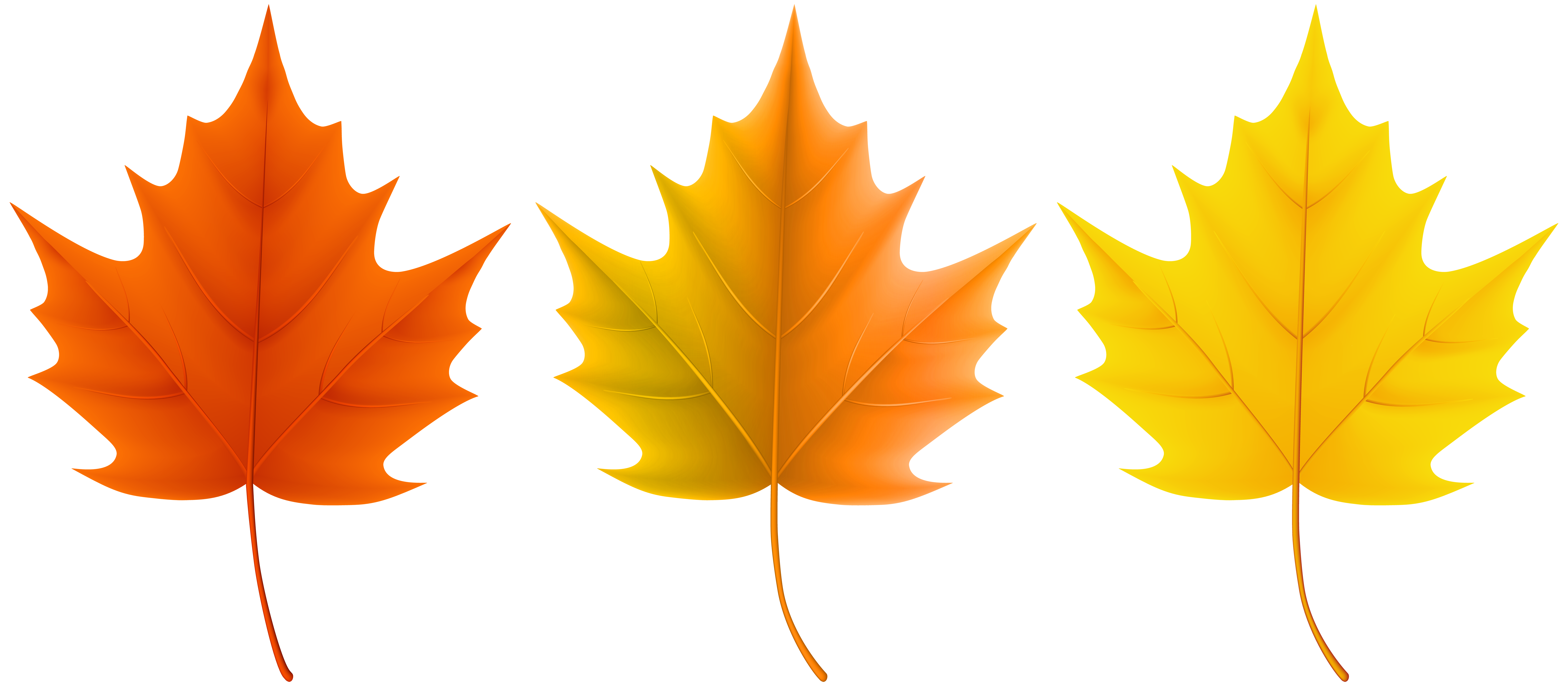 Autumn Leaves Clipart Clip Art Library Png Maple Leaf