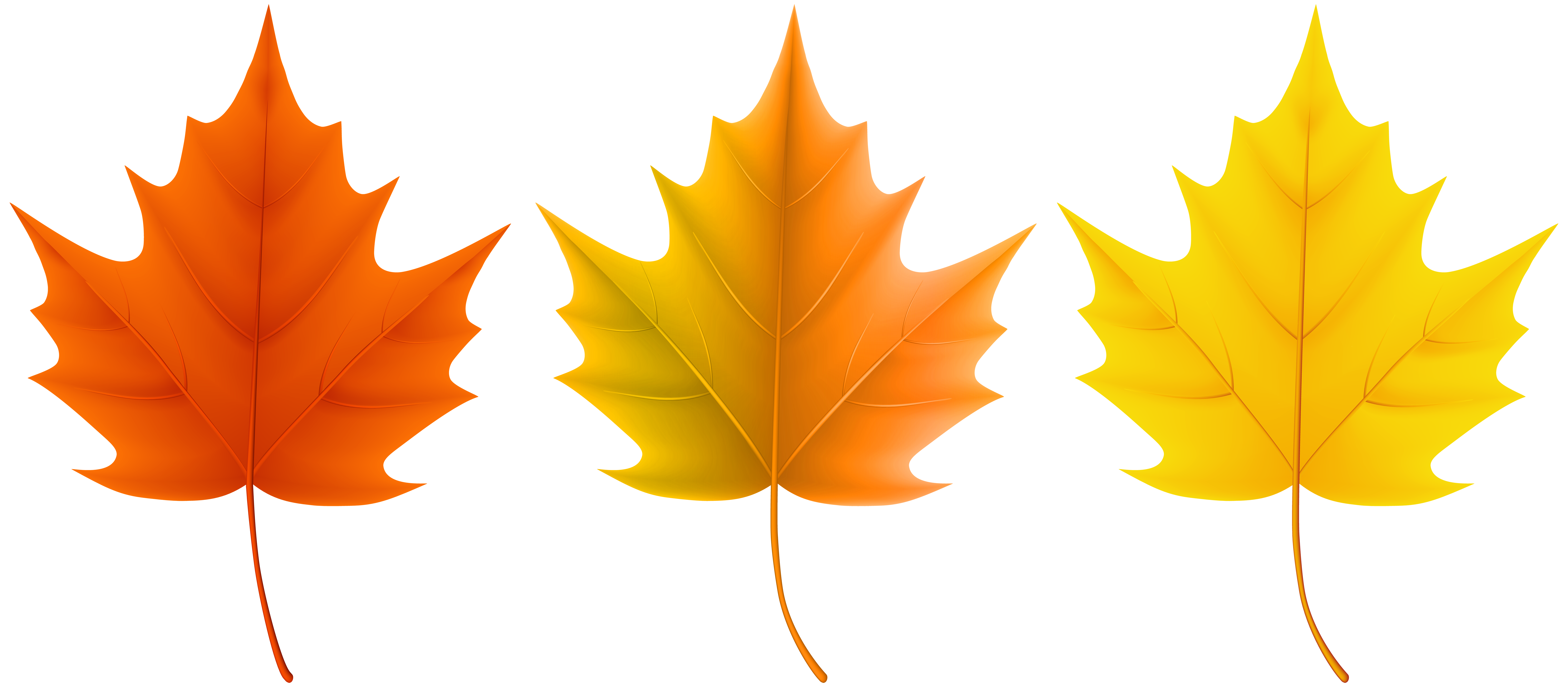 Fall Leaves Clipart Maple Leaves Autumn Leaves Fall Leaves Clipart