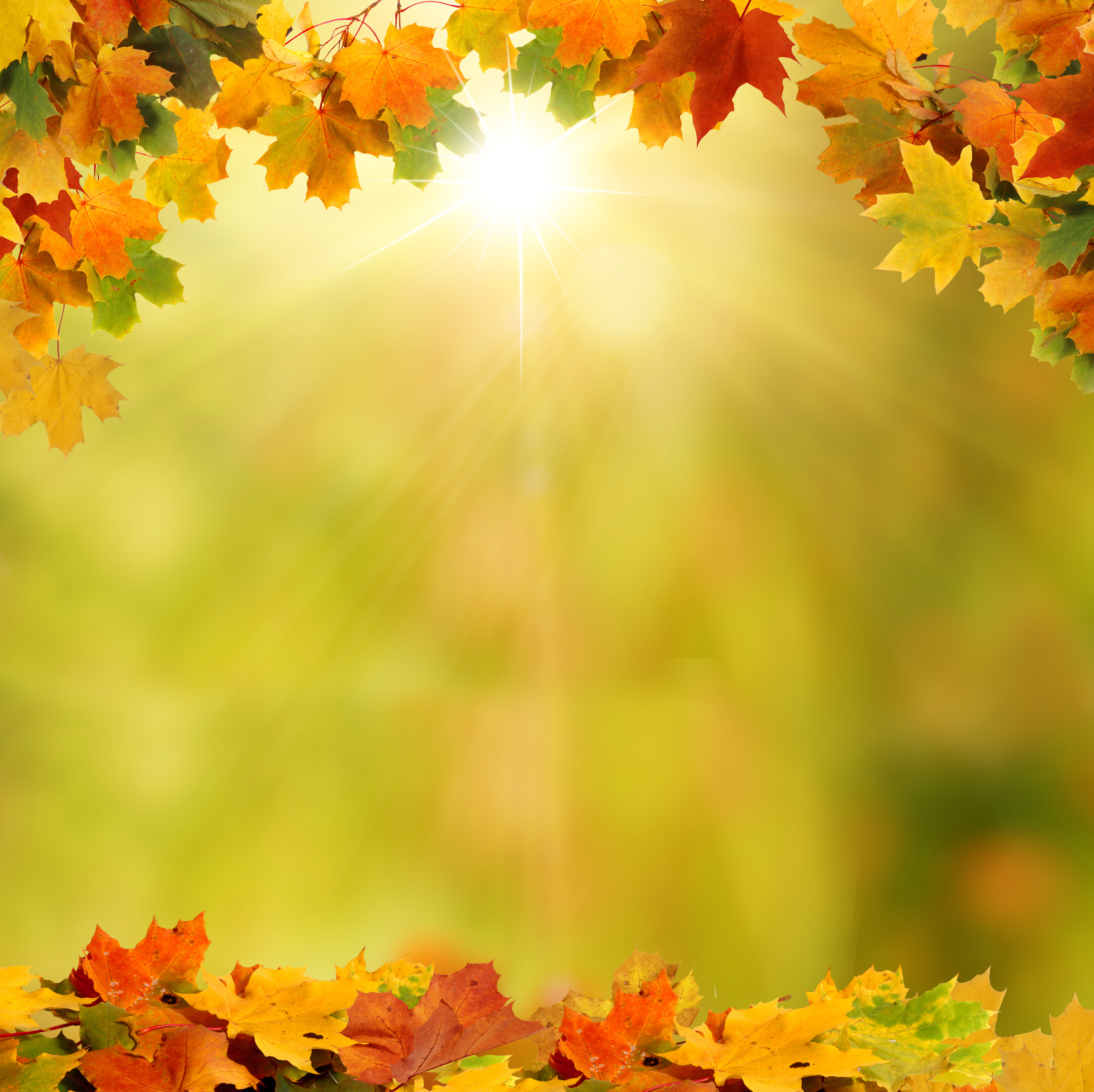 Background with Autumn Leaves | Gallery Yopriceville - High 