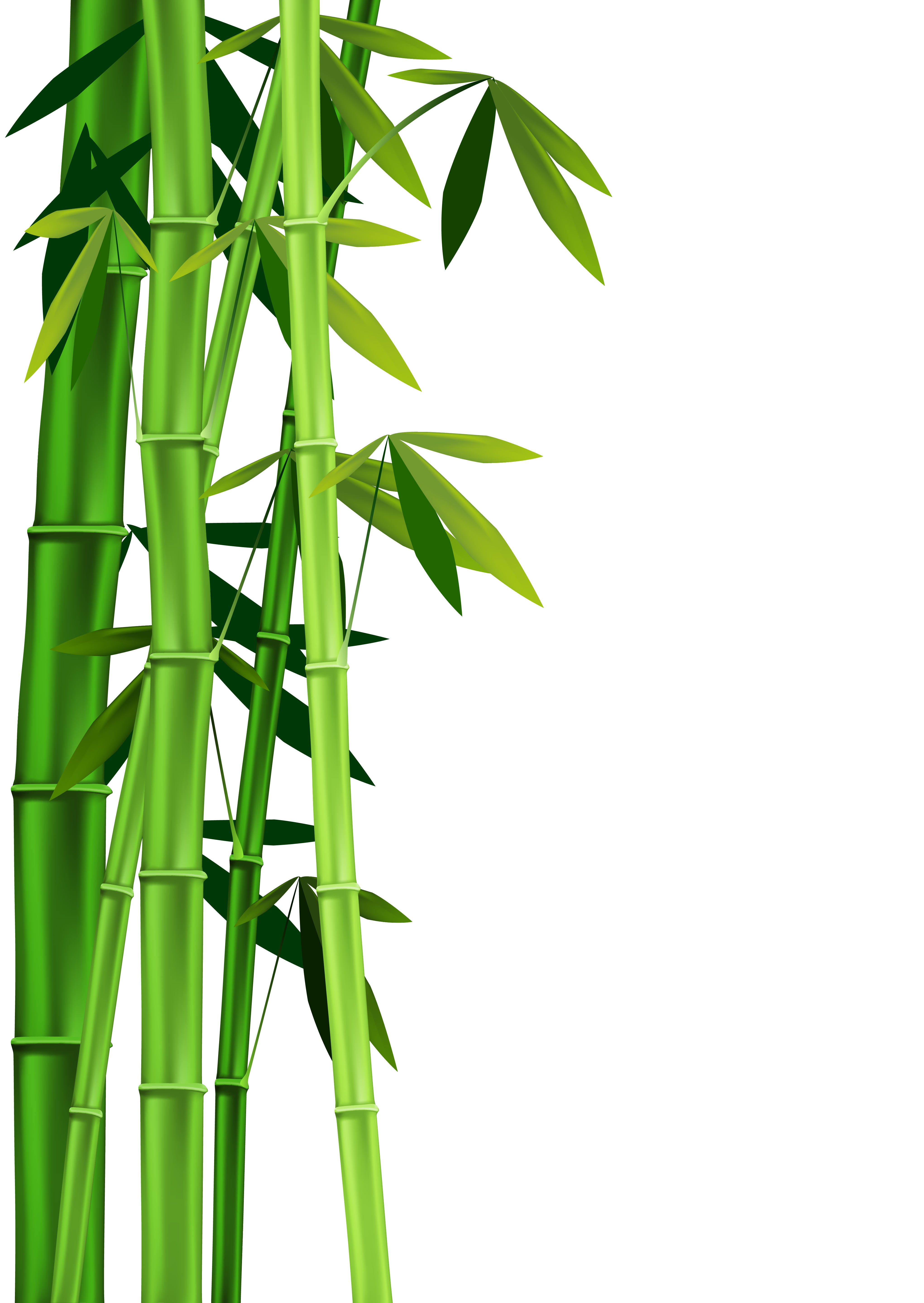 Bamboo border free download clipart 3 
