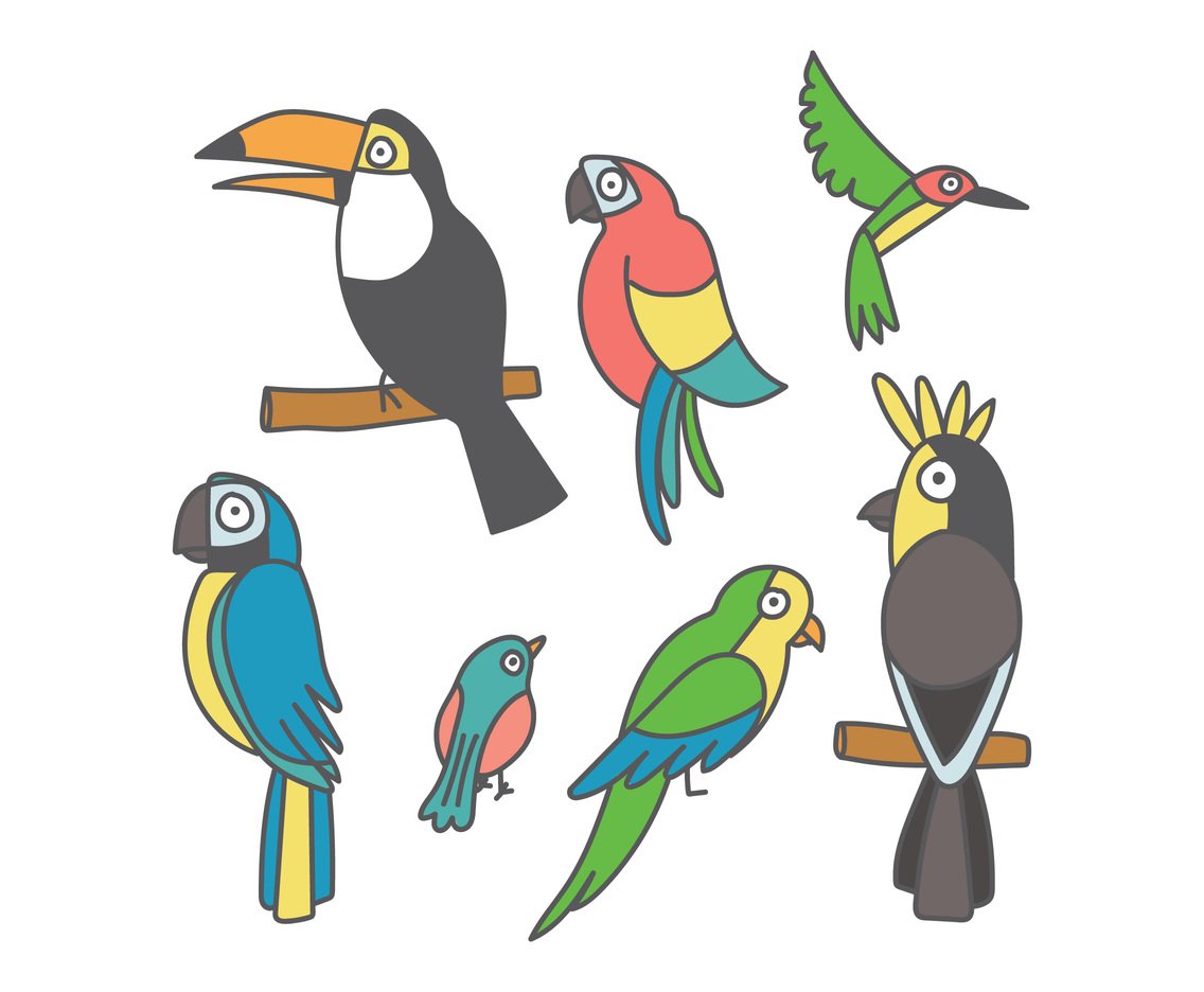 Set Of Clipart Birds Vector Art  Graphics 
