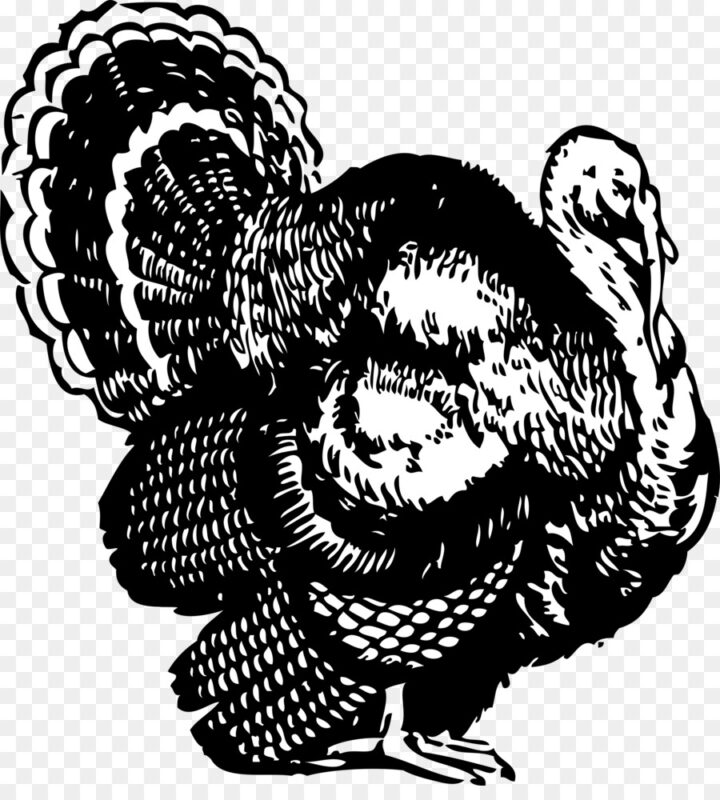 Black Turkey Black And White Thanksgiving Clip Art Cleaning Turkey 