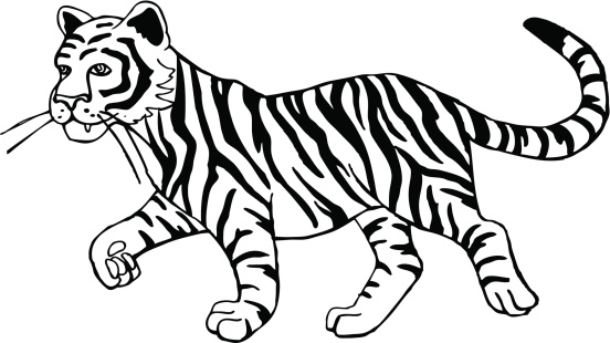 Black and white tiger clipart clip art library 