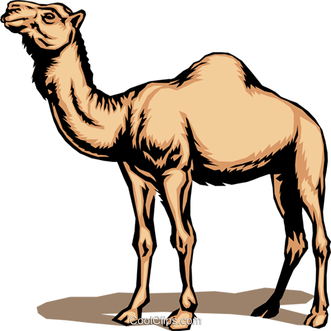 Camel Royalty Free Vector Clip Art illustration -anim0048 