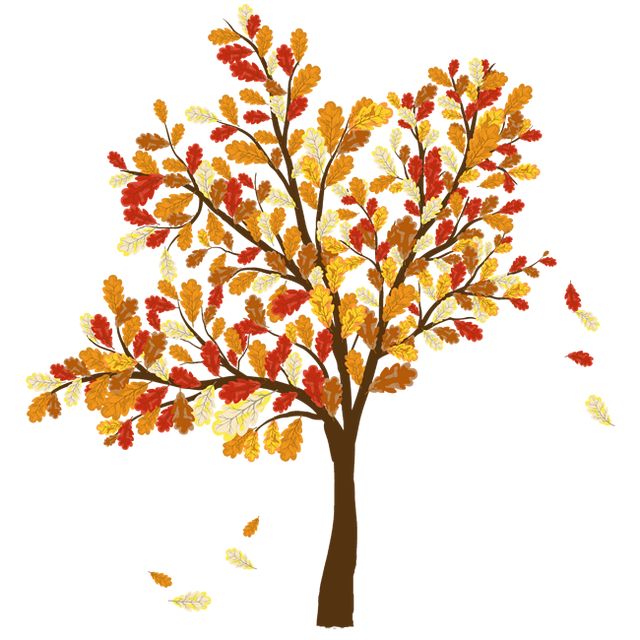 Fall leaves colorful clip art for the fall season tree