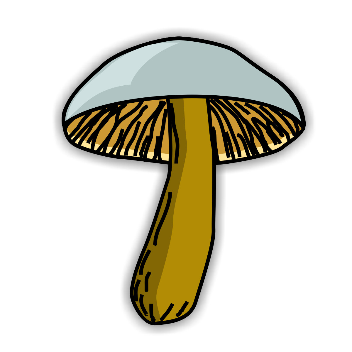 Free Fungi Cliparts, Download Free Fungi Cliparts png images, Free