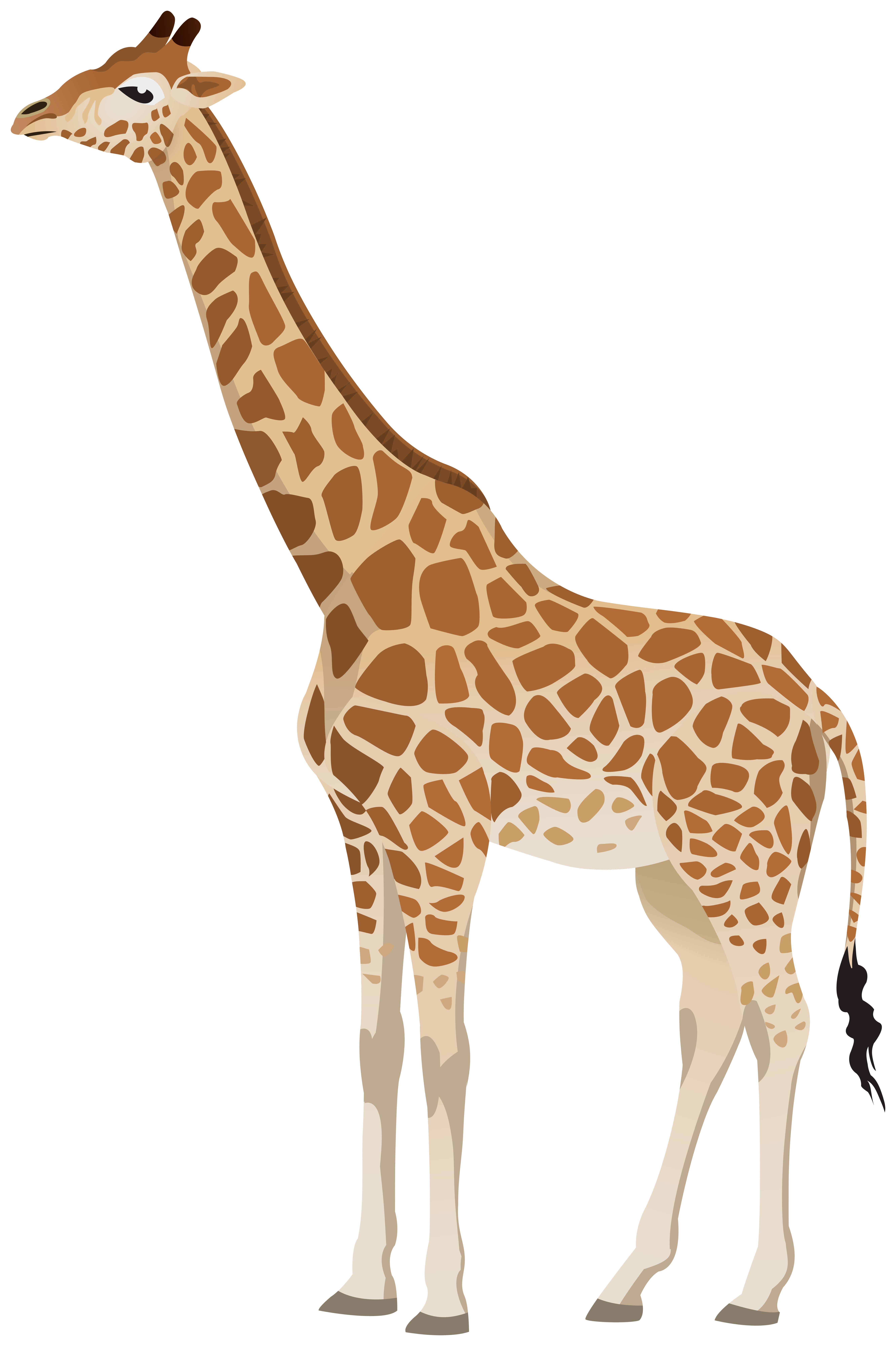 transparent background giraffe clip art - Clip Art Library