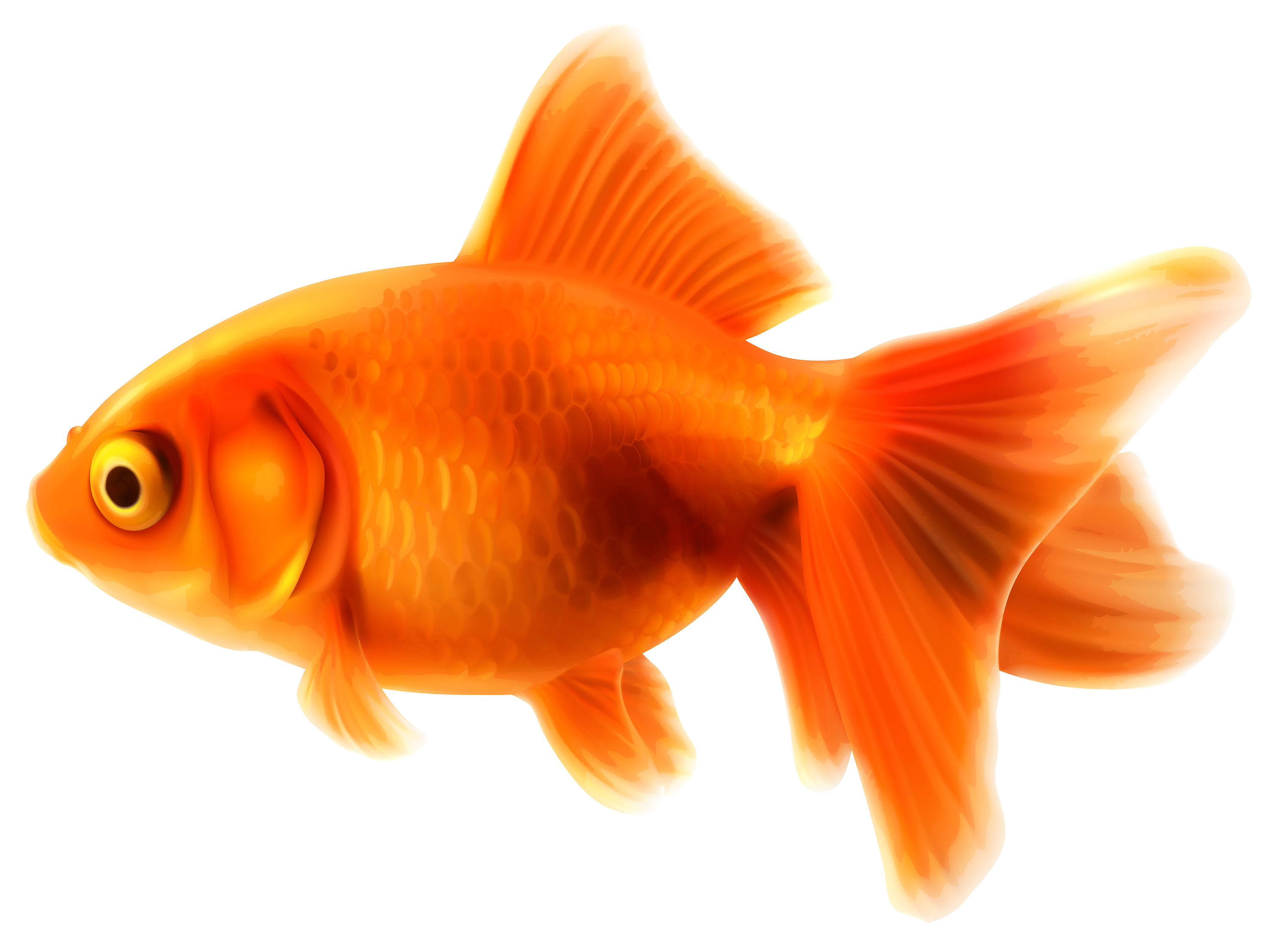 clipart goldfish crackers