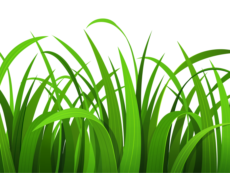 Free Grass Clip Art Pictures 