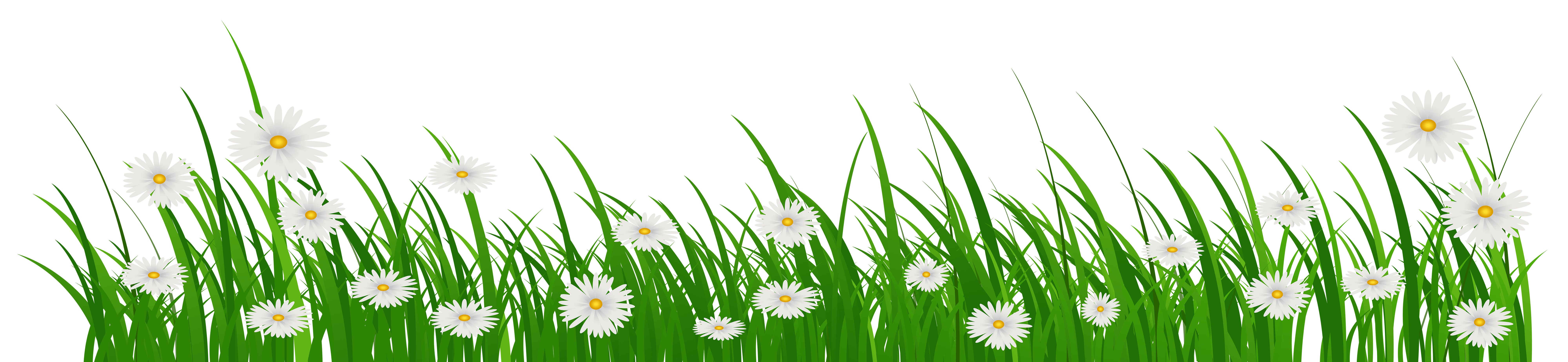 Grass with Flowers PNG Clip Art Image | Gallery Yopriceville 
