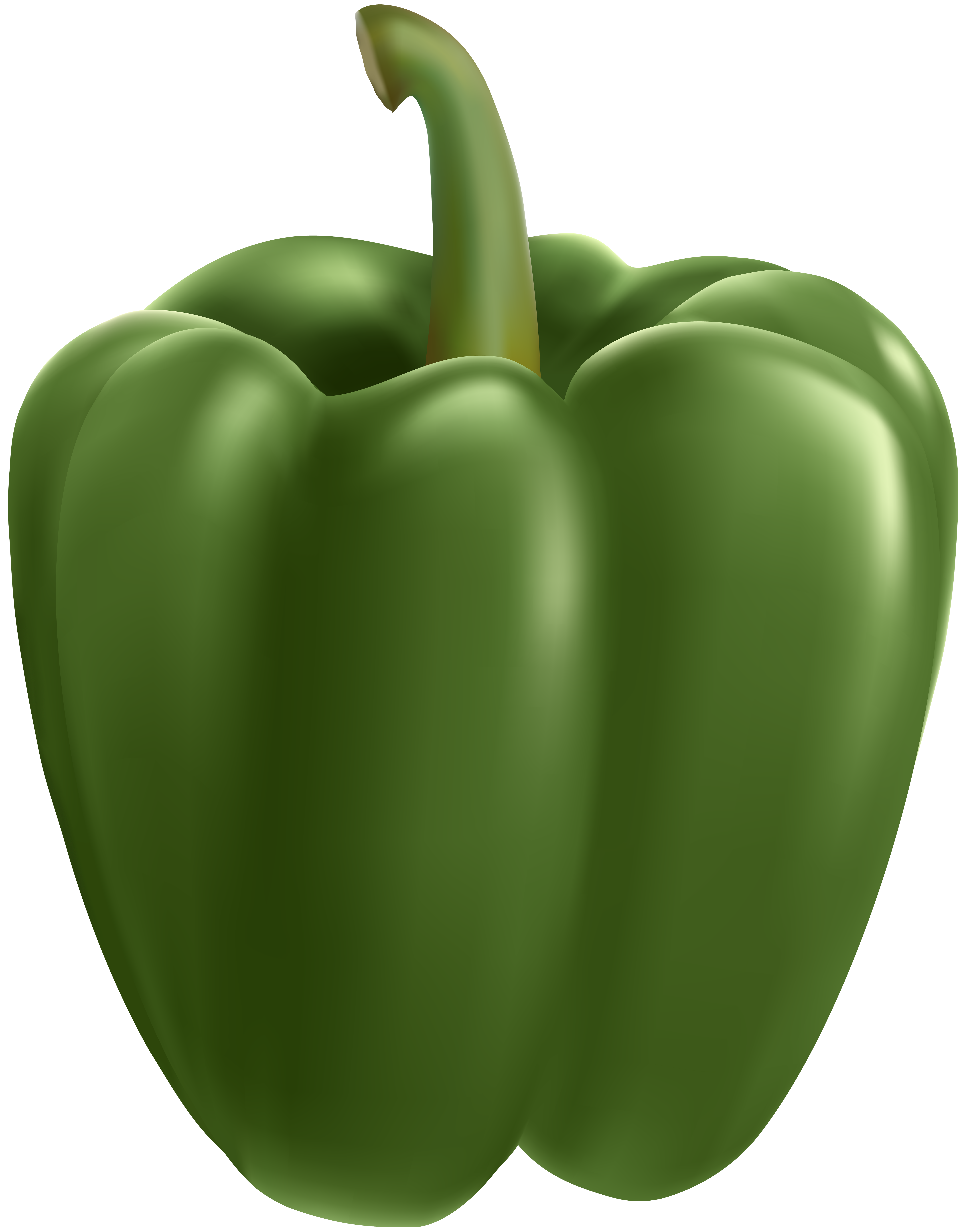 green bell pepper clipart png - Clip Art Library
