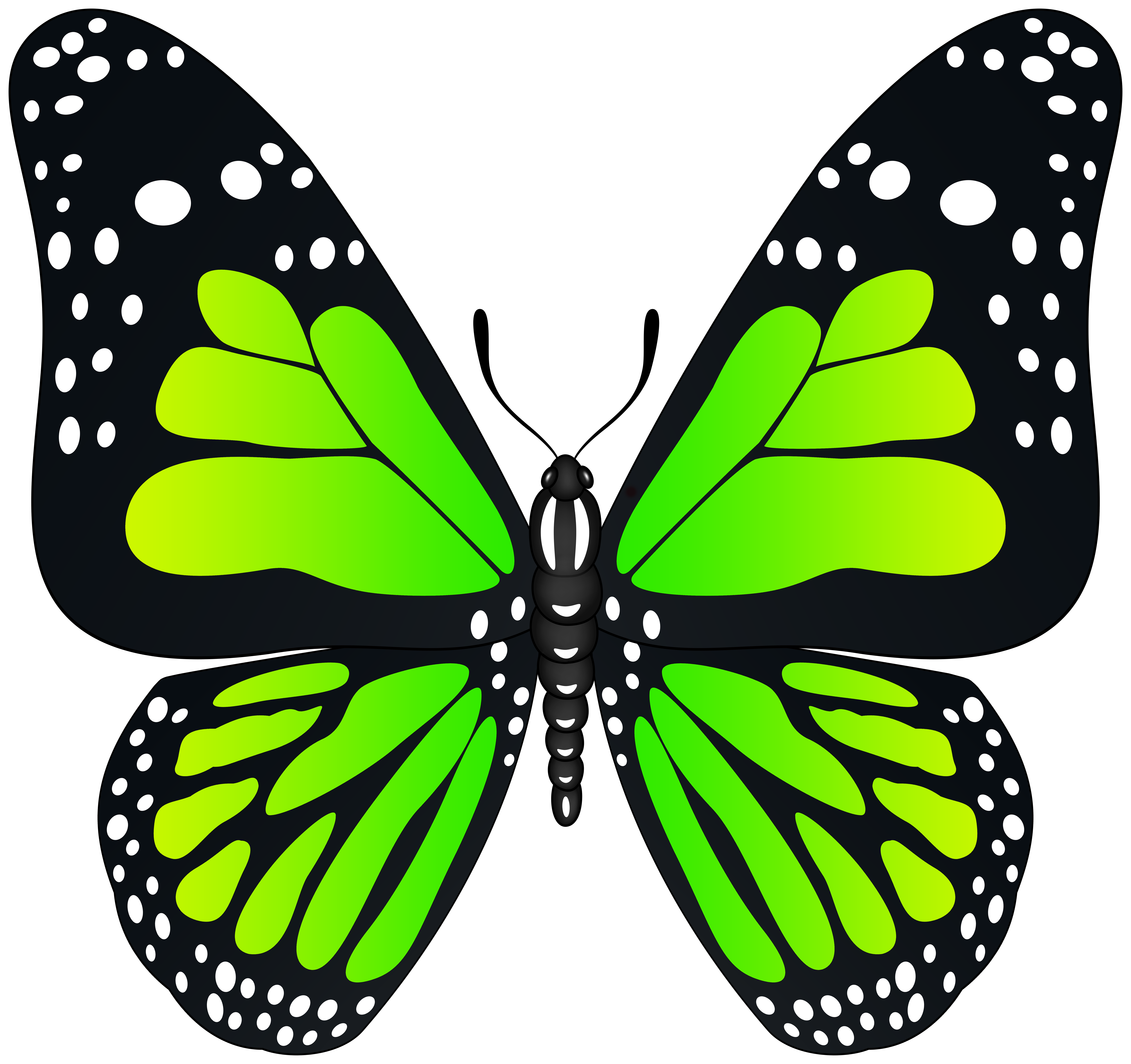 Green Butterfly Transparent PNG Image Gallery Yopriceville Clip Art 