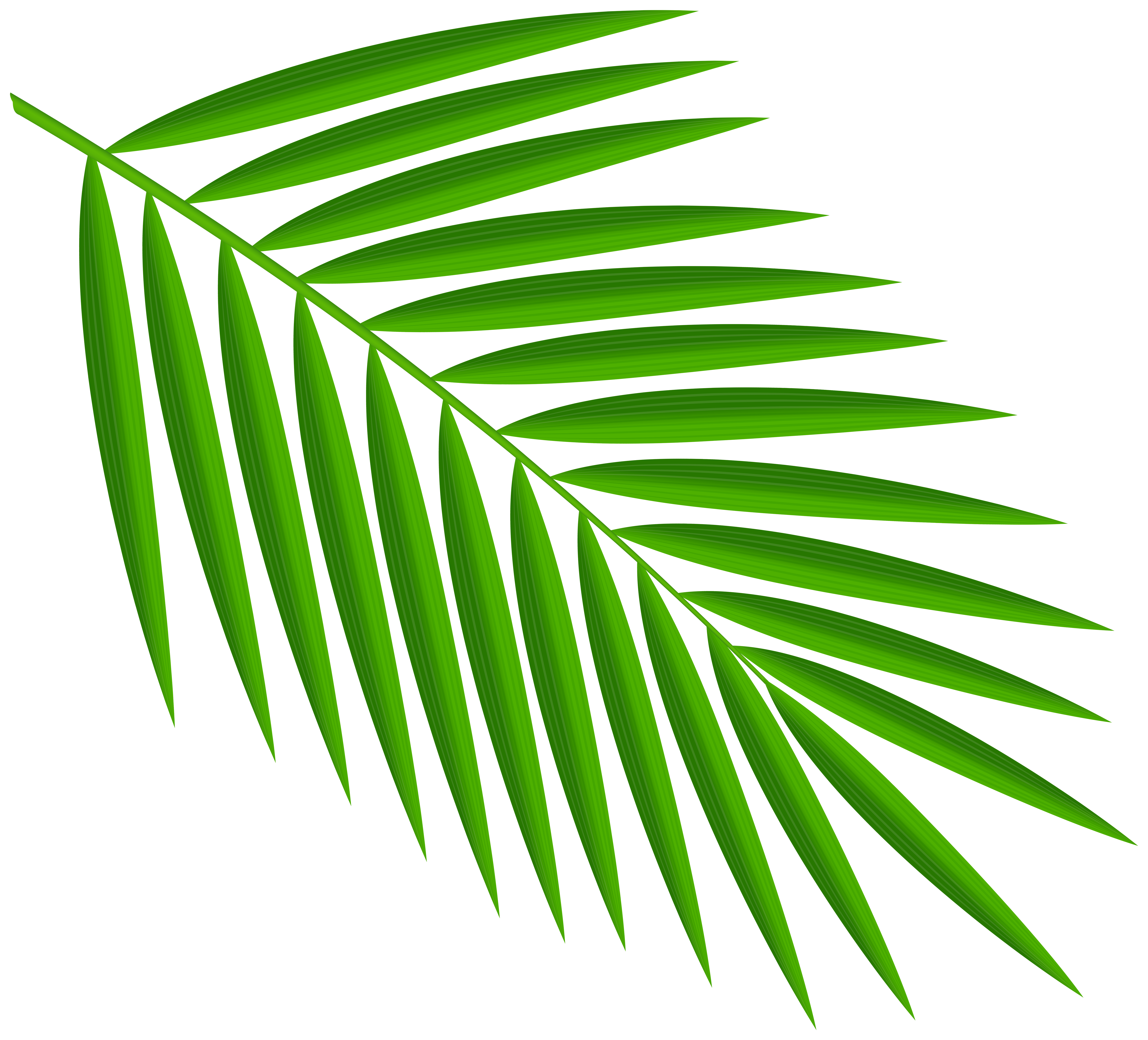 Free Palm Leaf Clipart, Download Free Palm Leaf Clipart png images