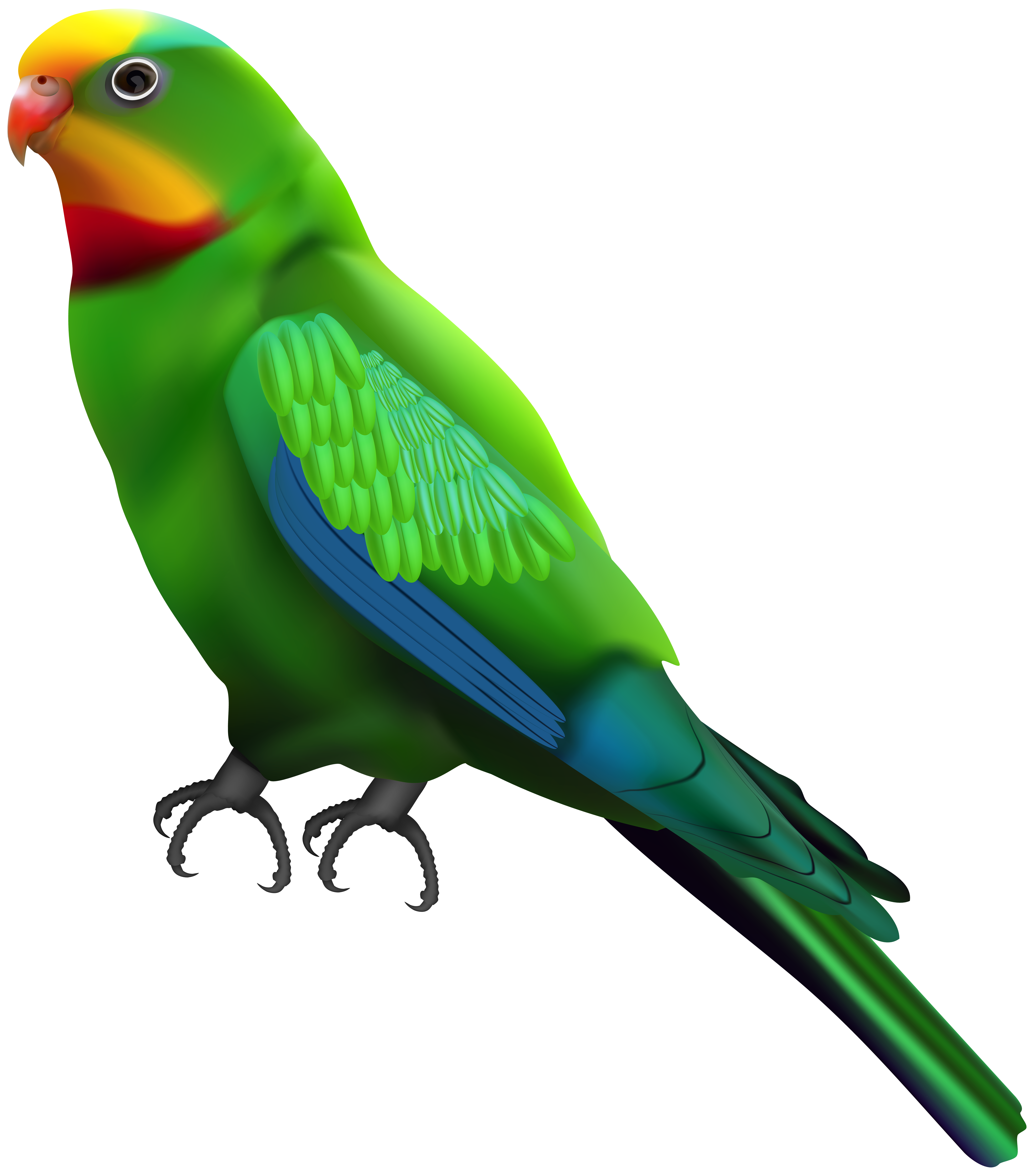 Green Parrot Transparent Clip Art Image | Gallery Yopriceville 