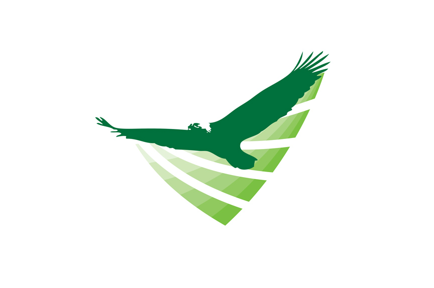 Green Eagle Logo Design - ClipArt Best - ClipArt Best