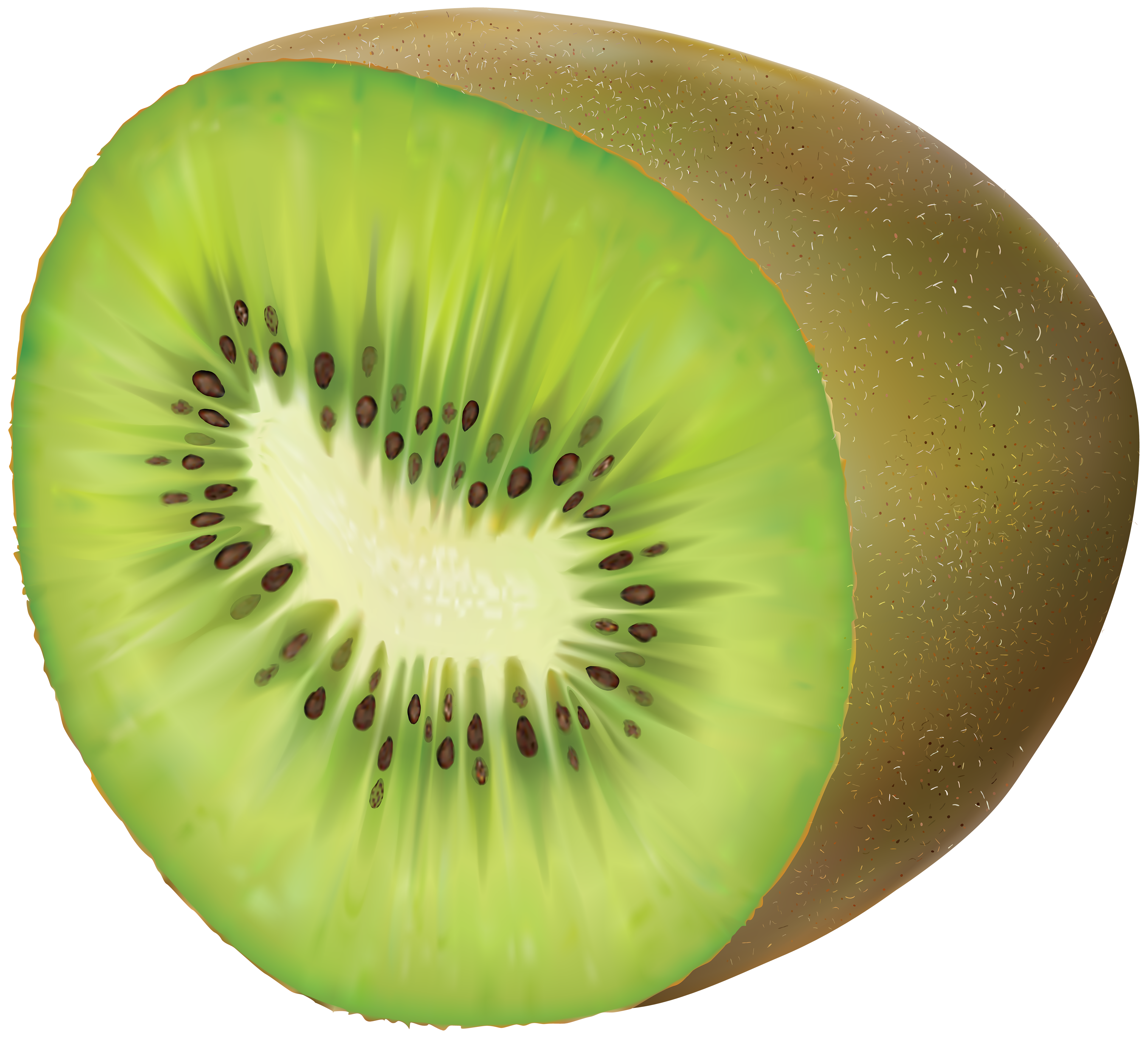 Free Kiwi Cliparts, Download Free Kiwi Cliparts png images, Free