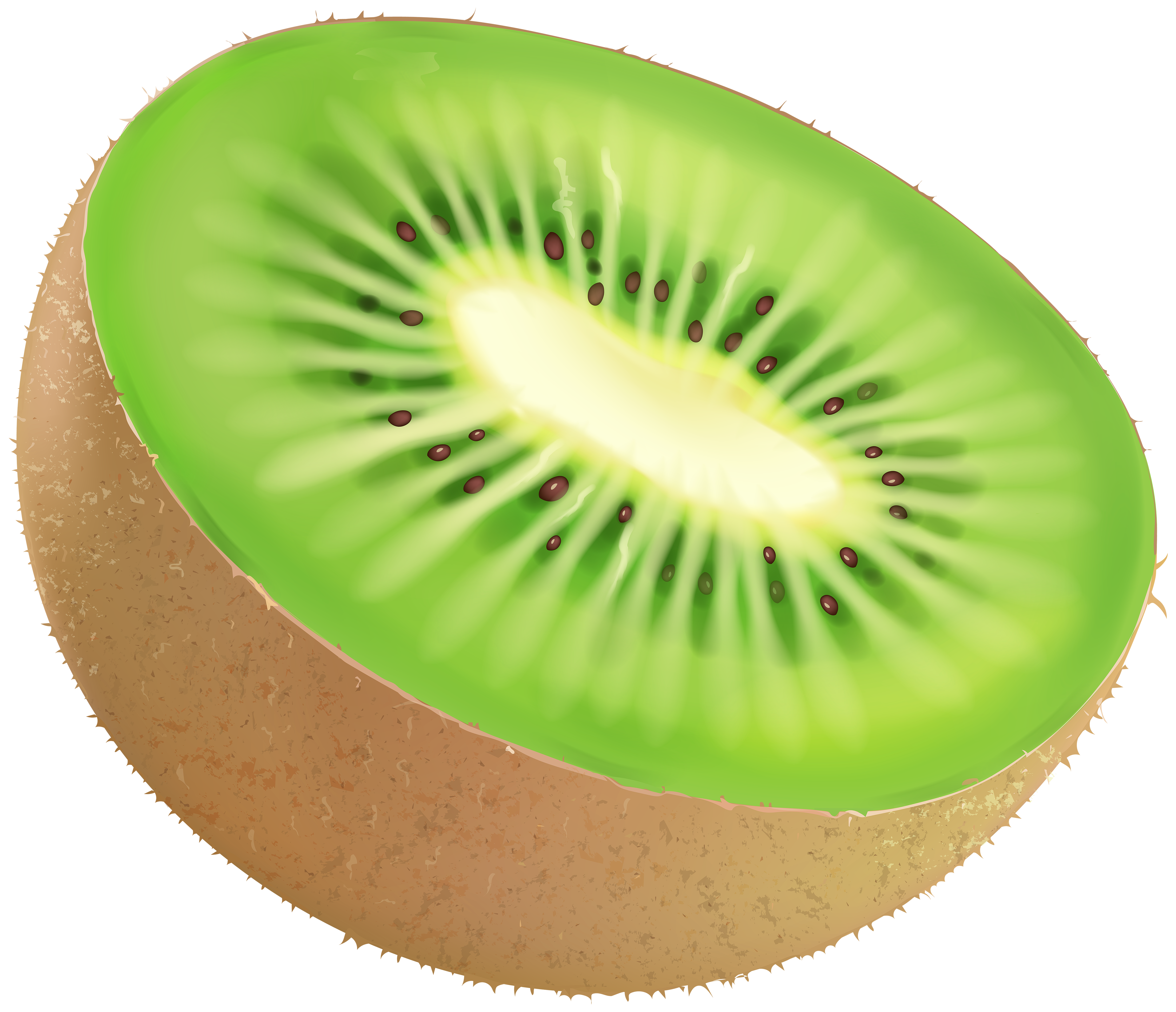 Free Kiwi Cliparts, Download Free Kiwi Cliparts png images, Free