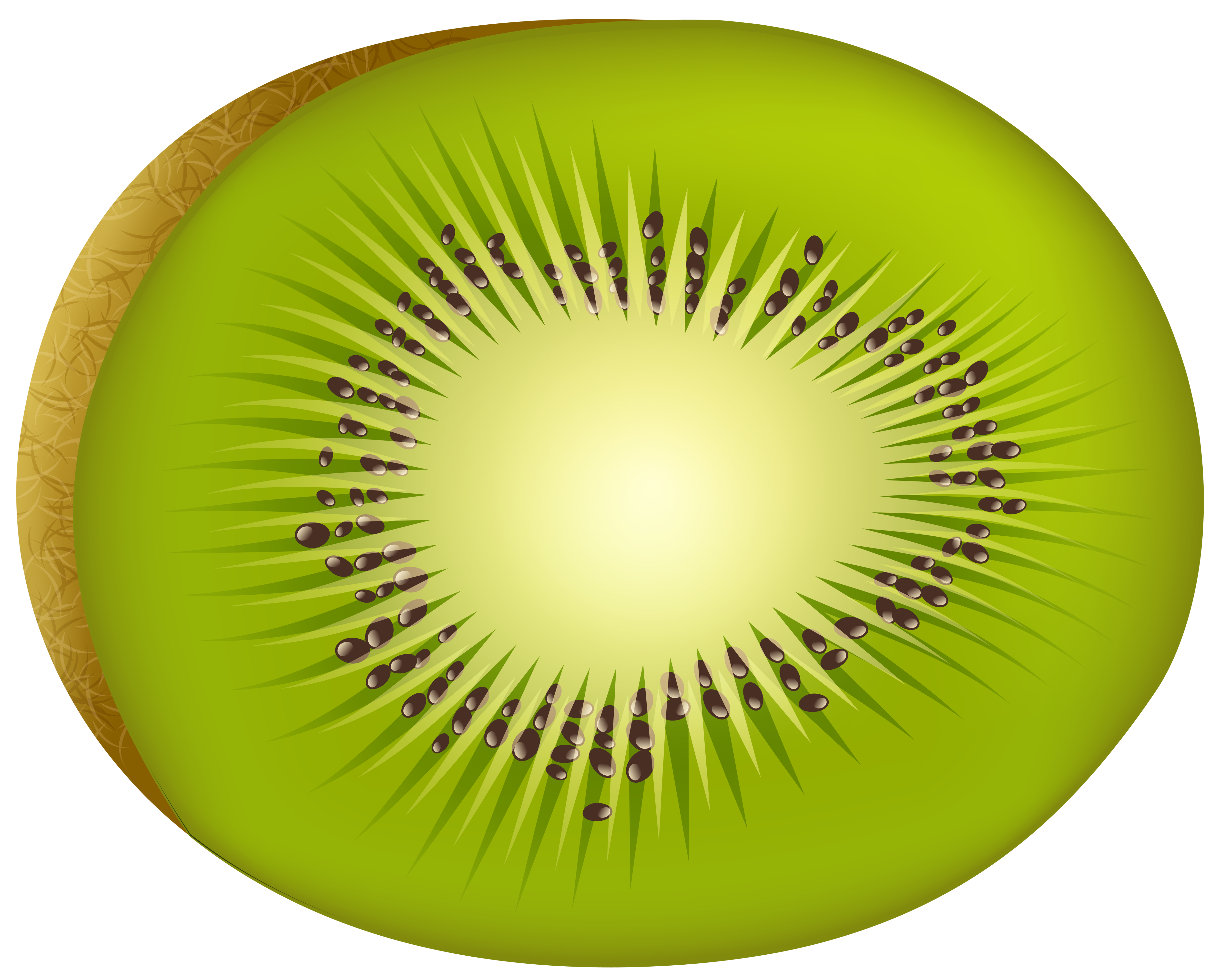 Free Kiwi Cliparts, Download Free Kiwi Cliparts png images, Free