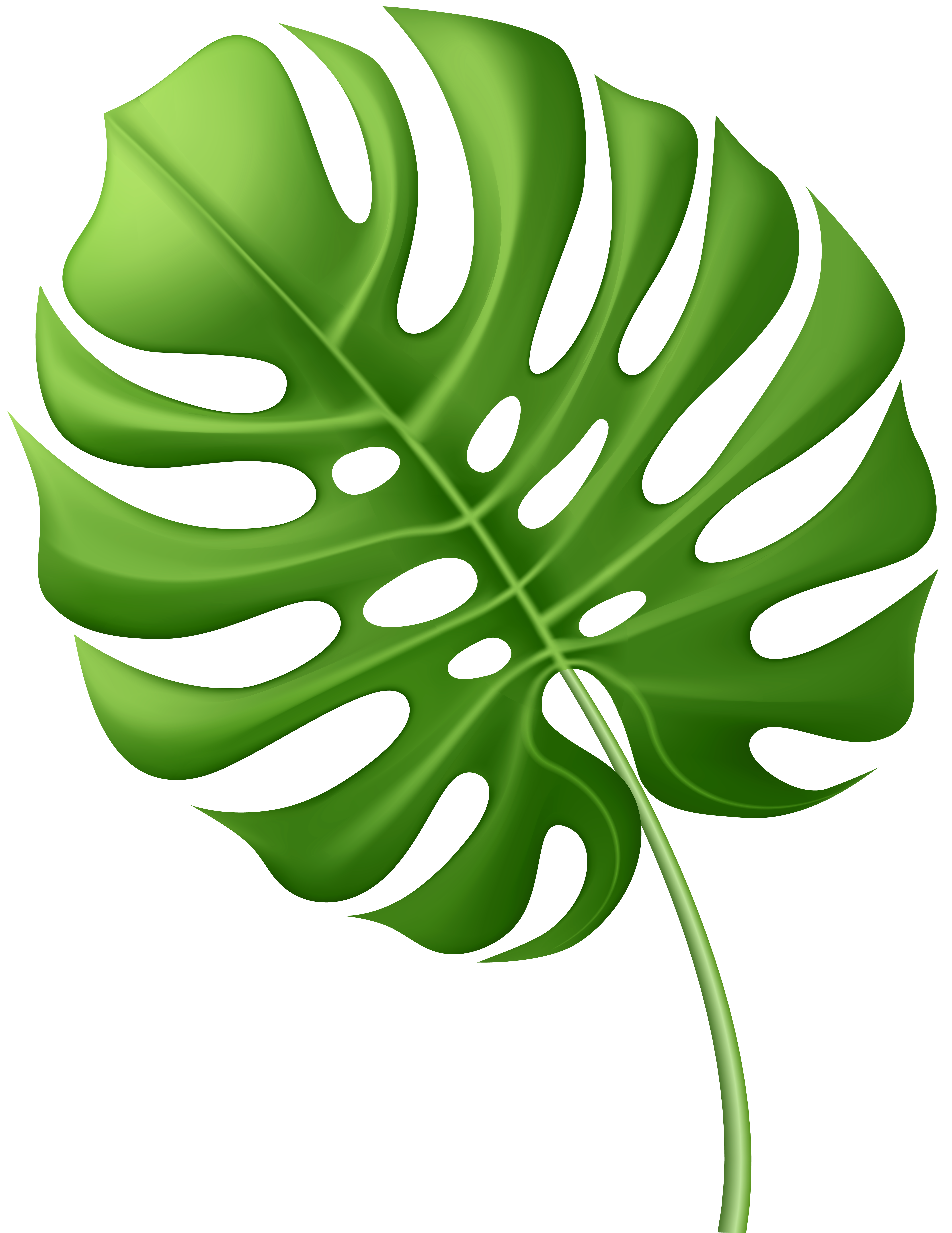 Large Tropical Leaf PNG Clip Art Image | Gallery Yopriceville 