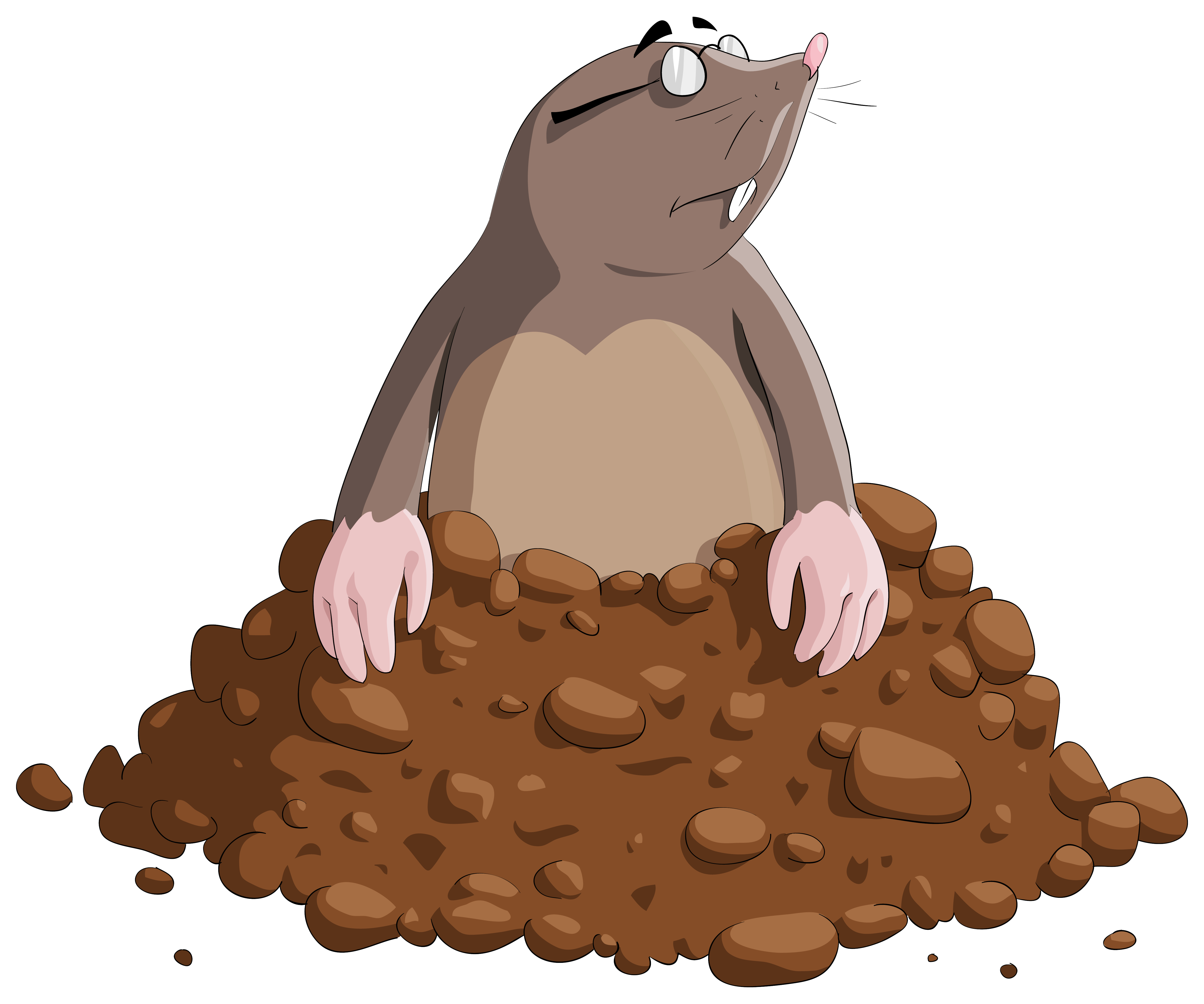 Mole Cartoon PNG Clipart Image | Gallery Yopriceville - High 