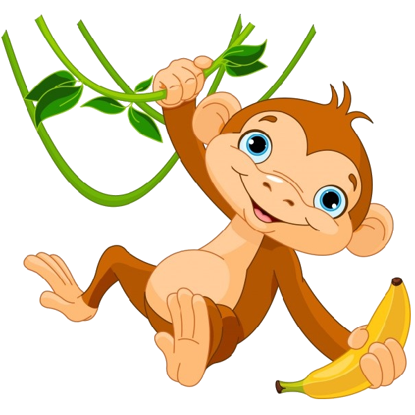 Monkey images clipart 