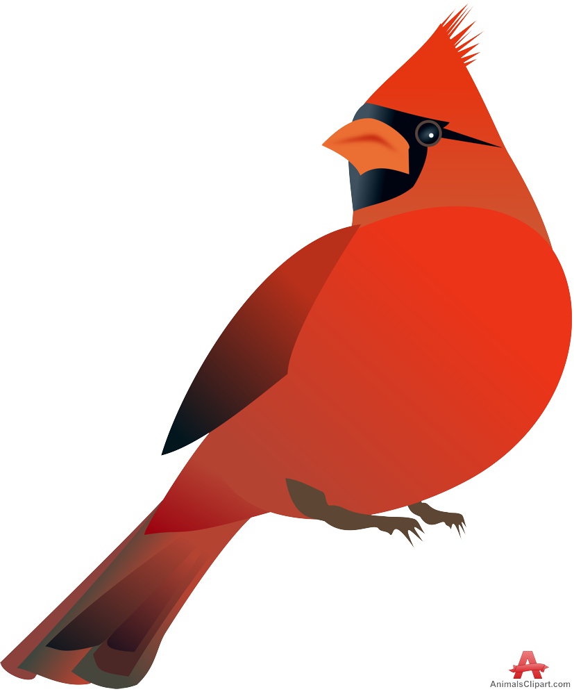 Northern red cardinal bird free clipart design download 