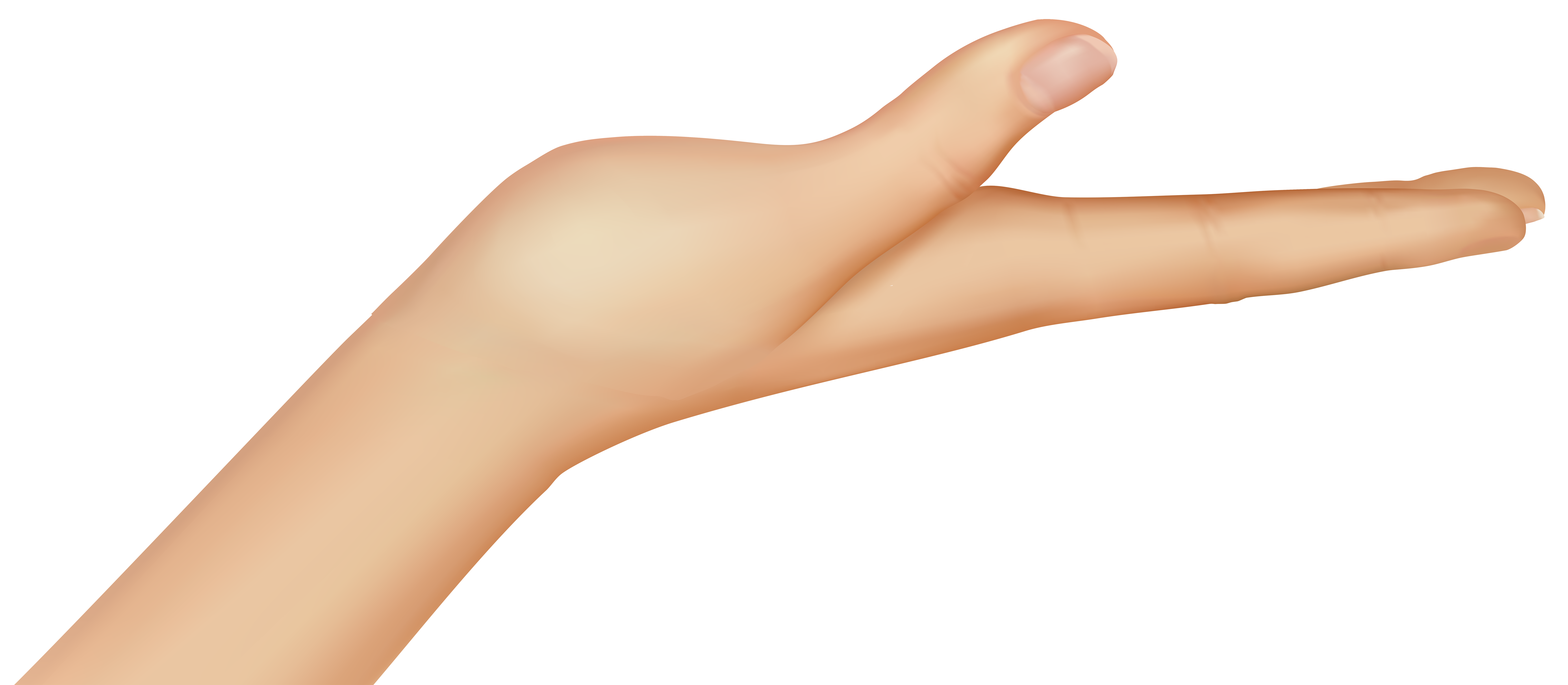 palm-flat-hand-png-clip-art-library