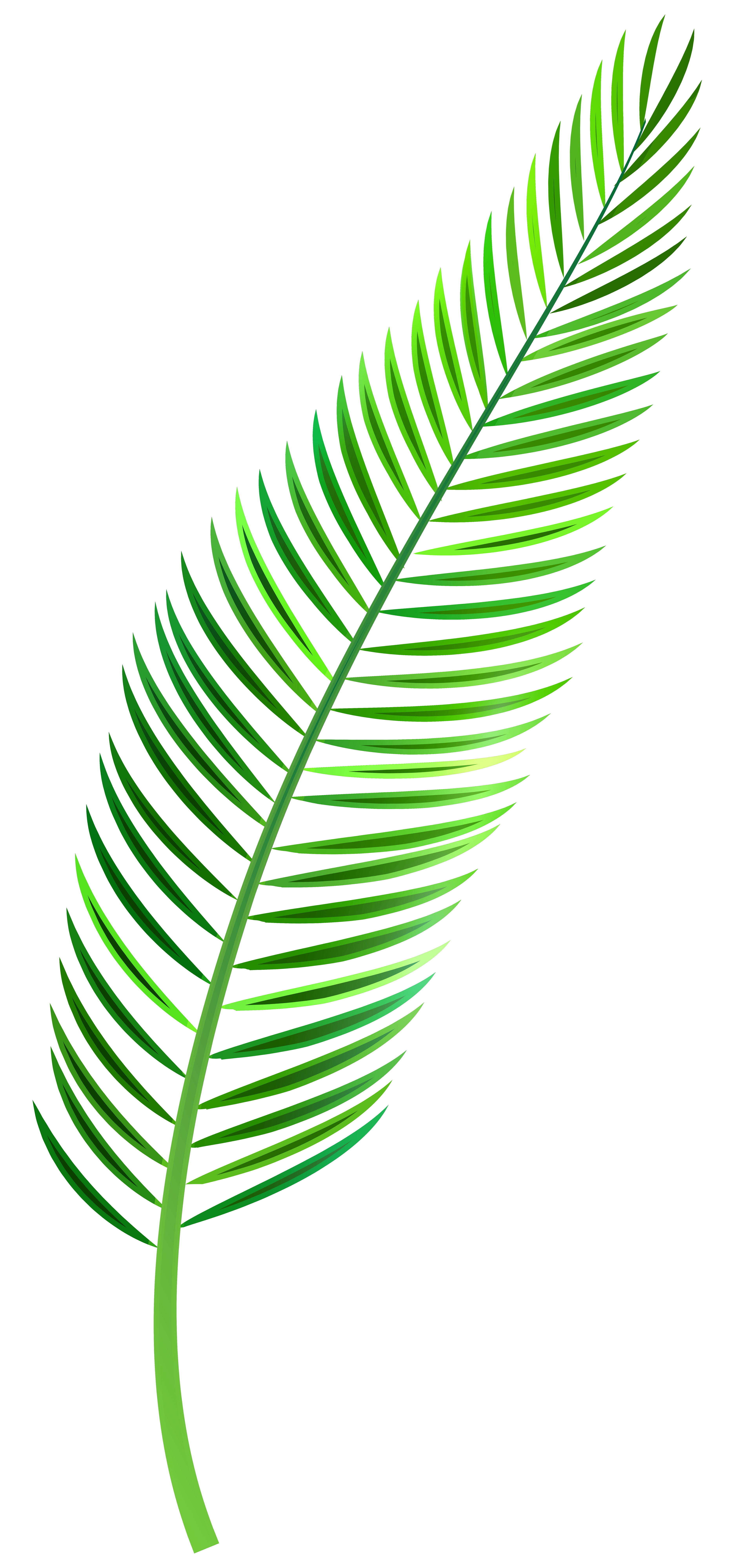 Free Palm Leaf Clipart, Download Free Palm Leaf Clipart png images
