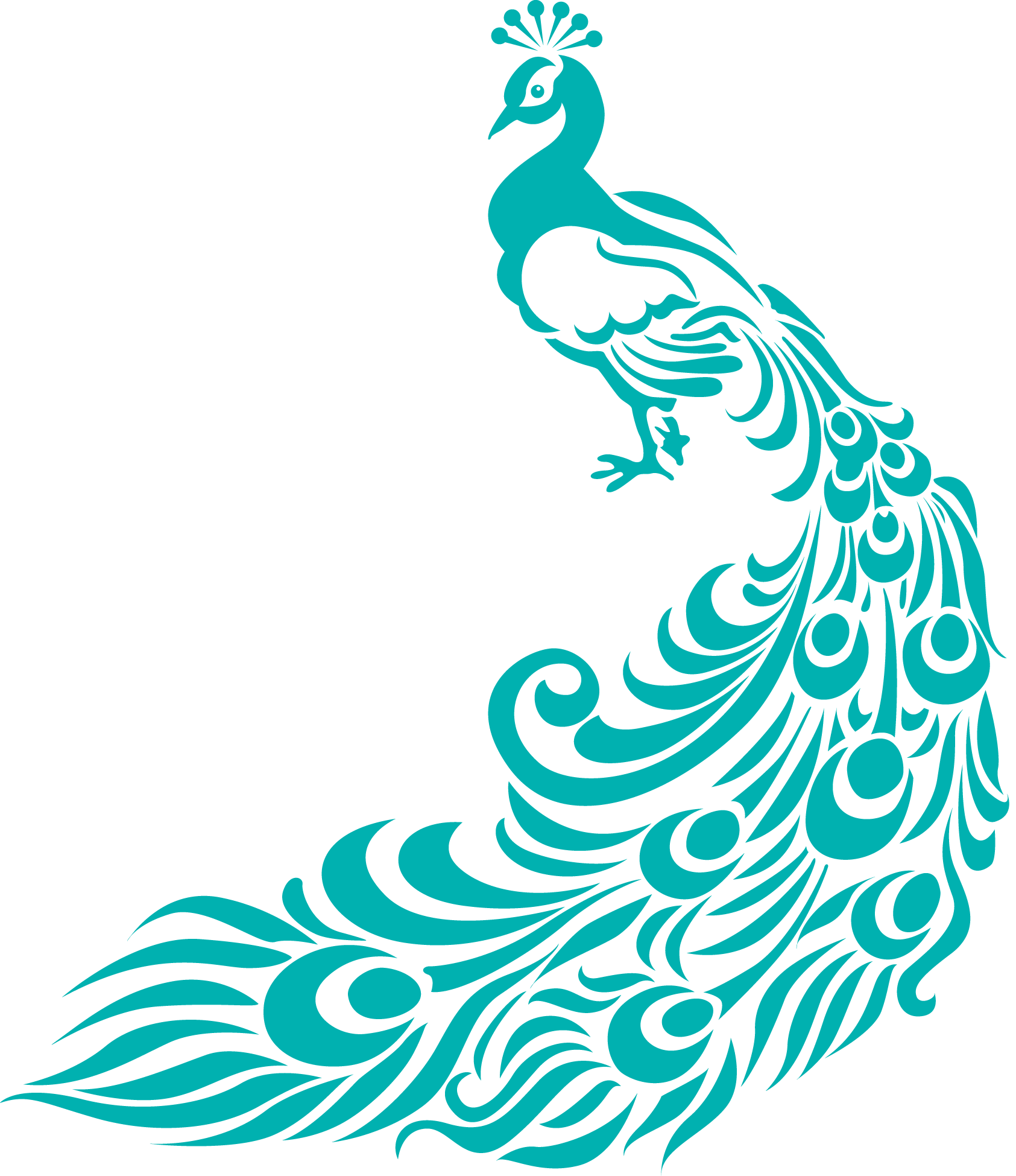 peacock wedding clip art