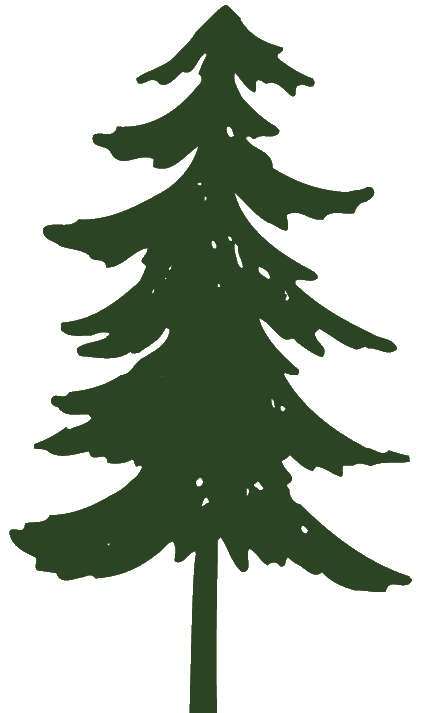 free-pinetree-clipart-download-free-pinetree-clipart-png-images-free