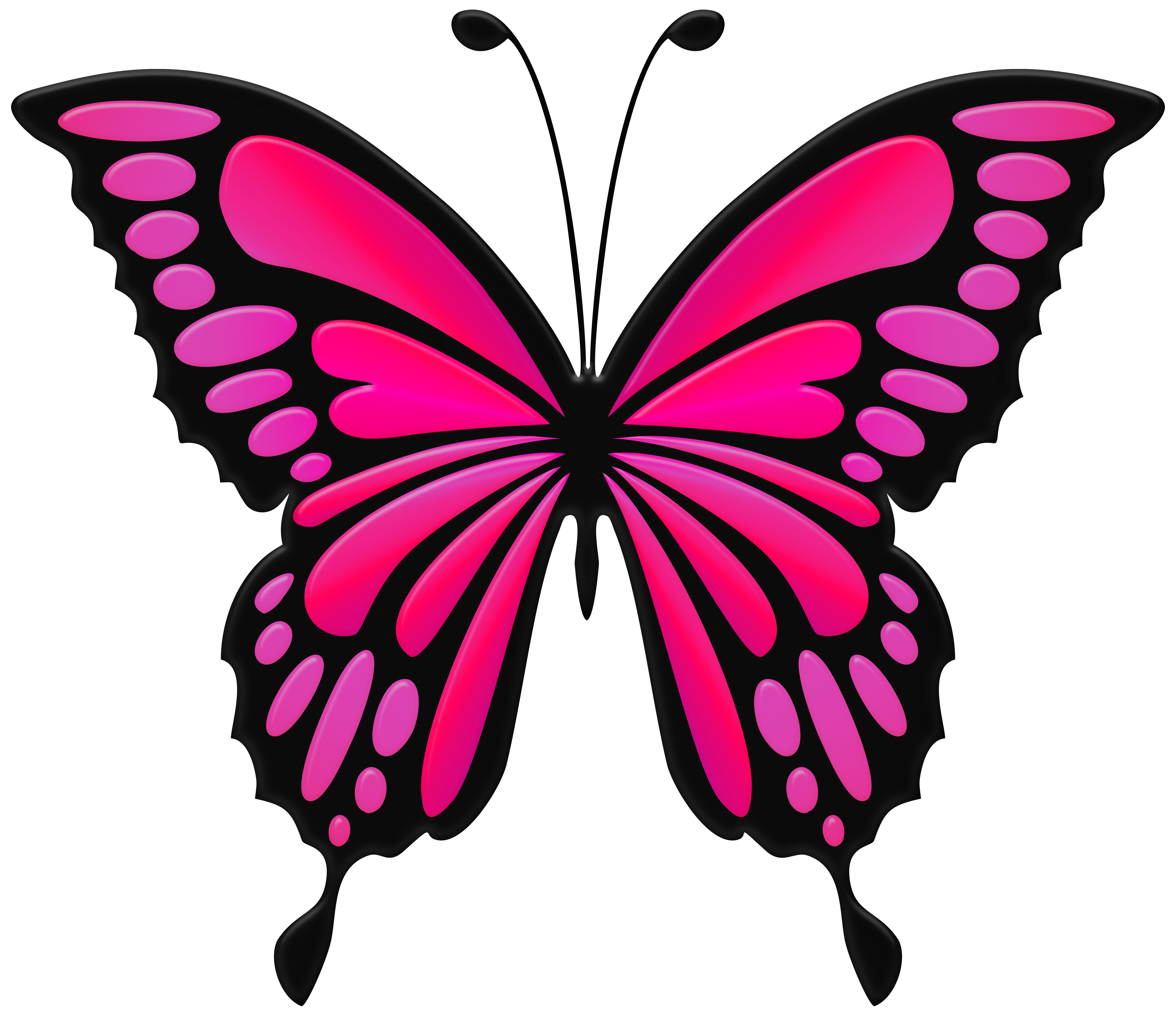 Free Pink Butterfly Clipart, Download Free Pink Butterfly Clipart png