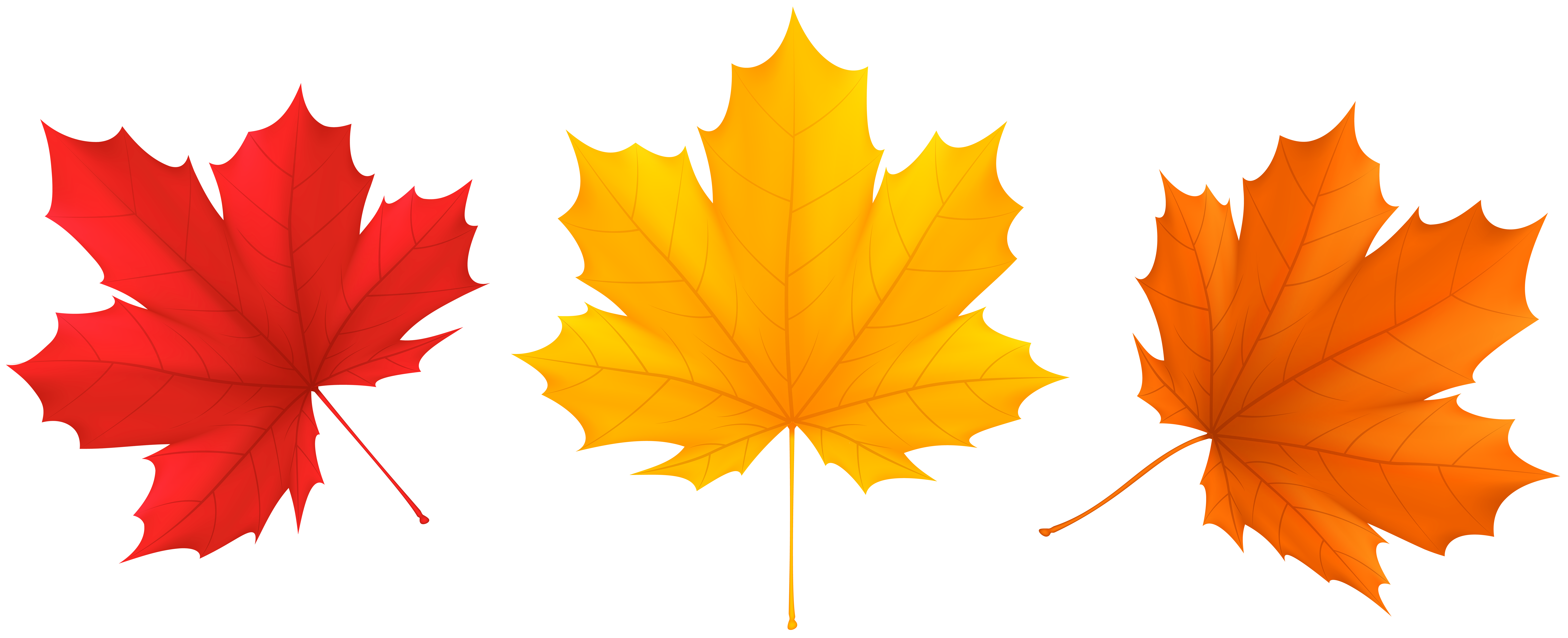 Free Fall Leaves Clip Art Download Free Fall Leaves Clip Art Png Images Free ClipArts On 