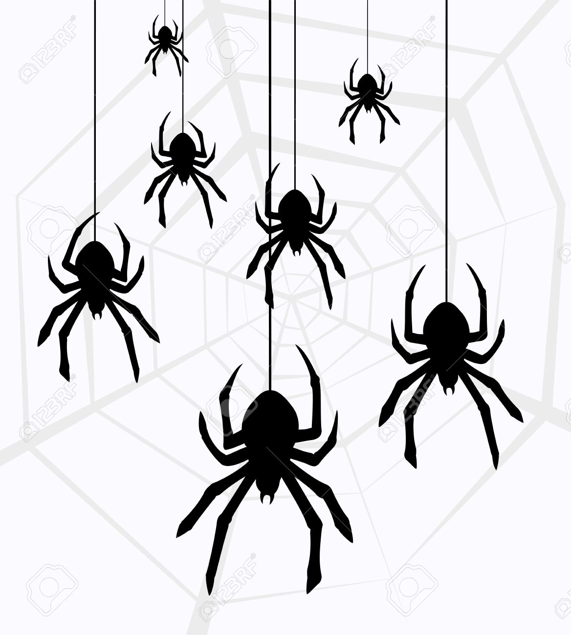 Spider pics facts funny stuff about animals clipart 