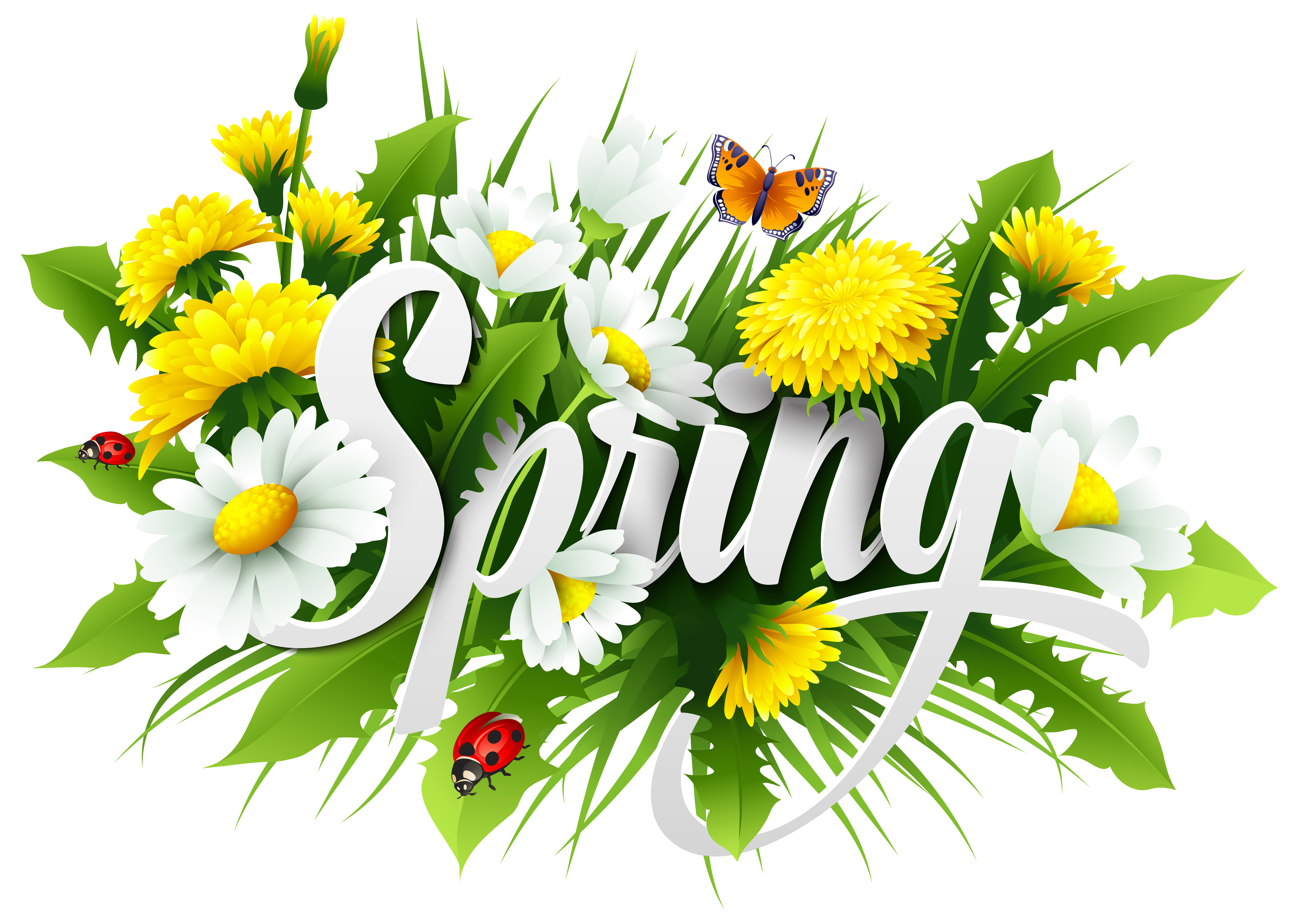Spring Decorative Image PNG Clipart | Gallery Yopriceville - High 