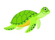 Reptiles Turtle Clipart Clipart - Clip Art Pictures - Graphics 