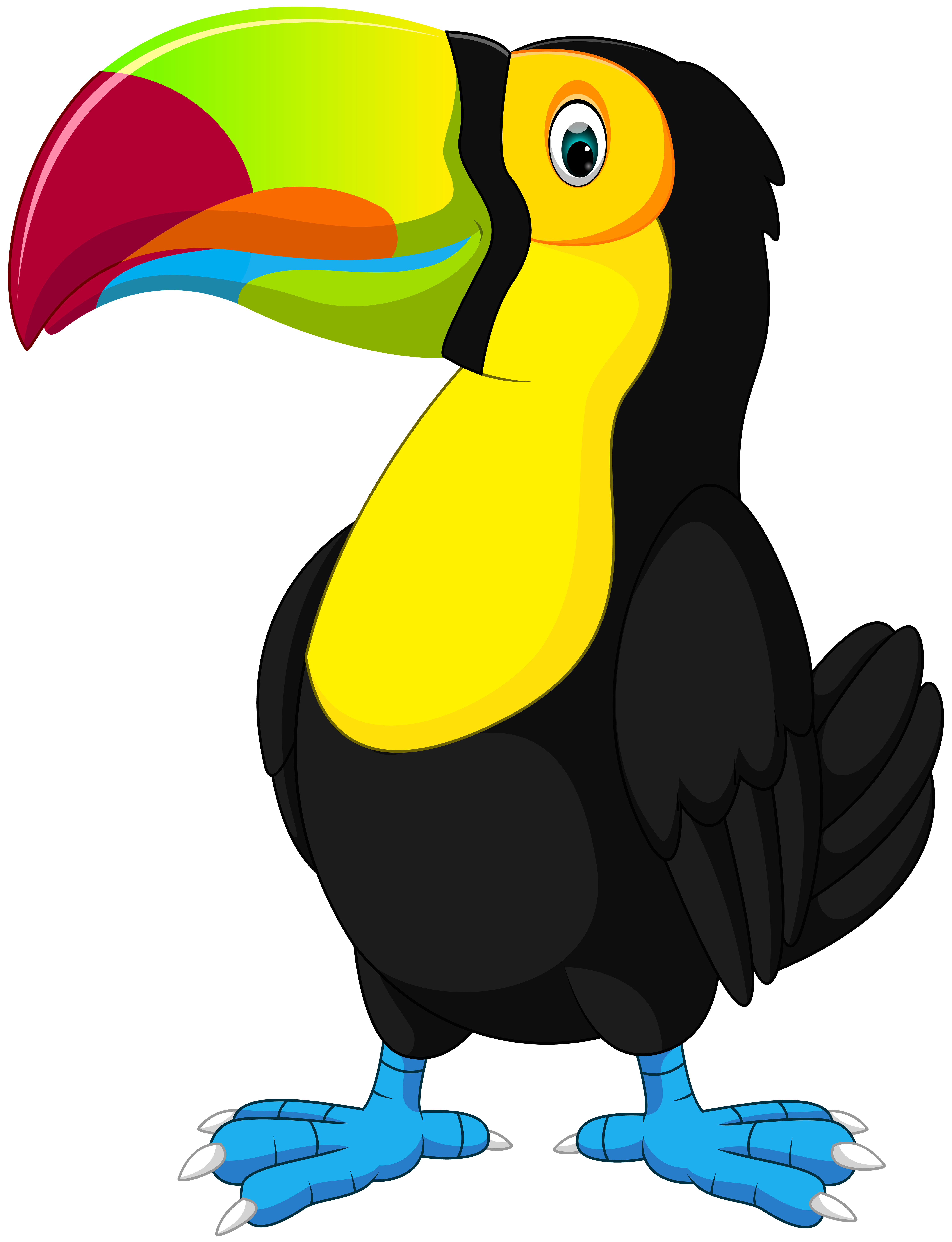 Toucan Cartoon PNG Clip Art Image | Gallery Yopriceville - High 