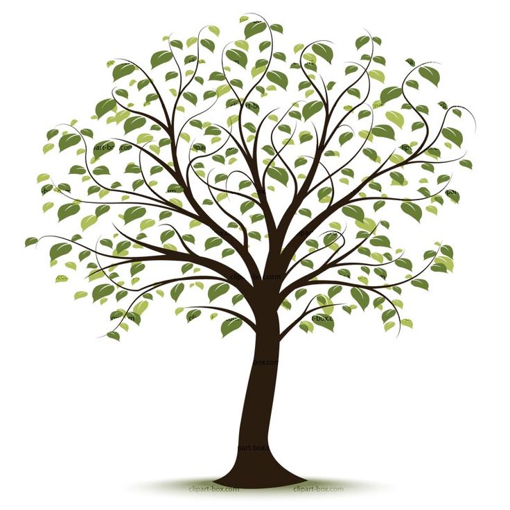 Trees free tree of life clipart clipart kid 