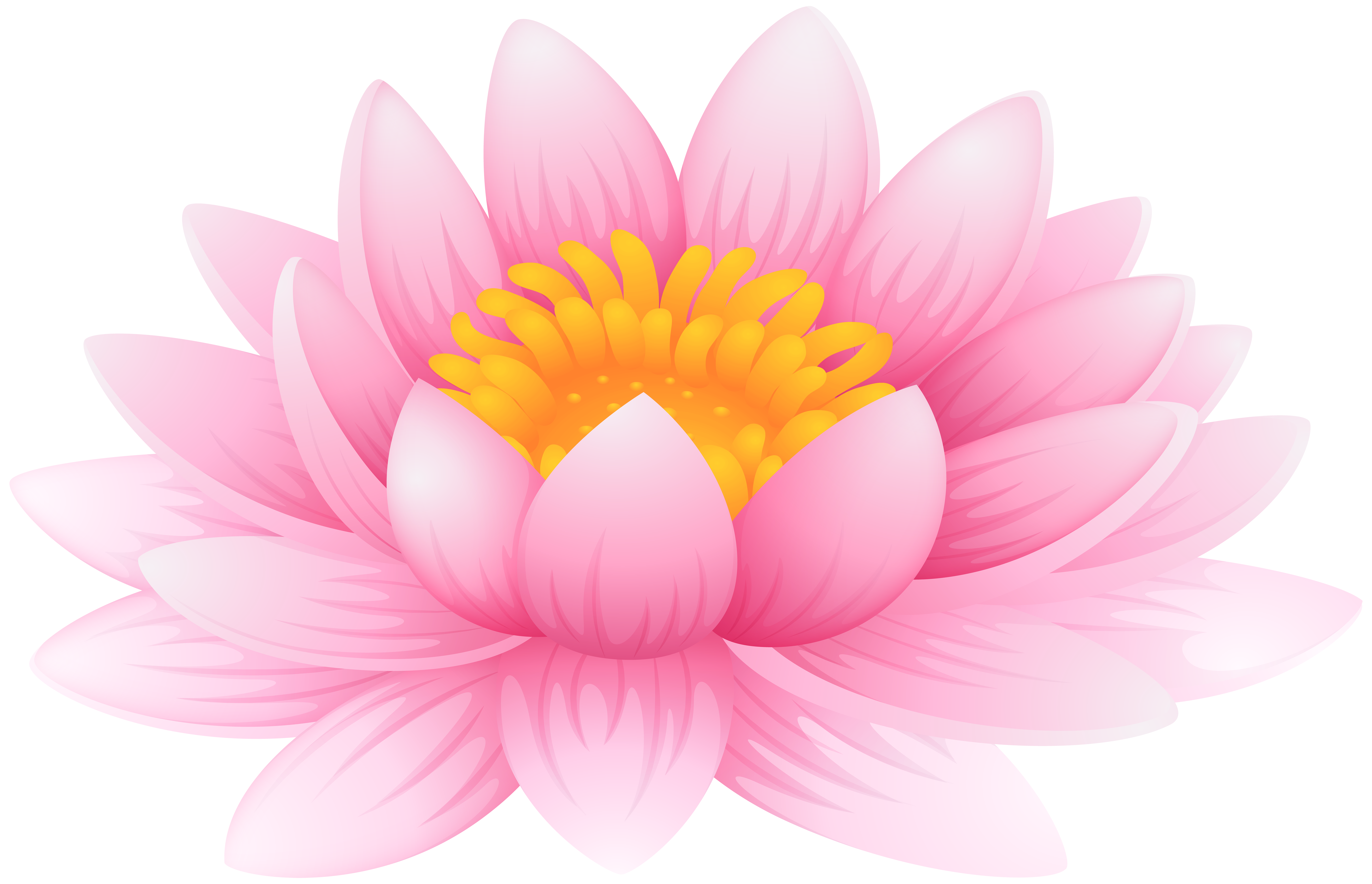 Water Lily PNG Clip Art Image | Gallery Yopriceville - High 