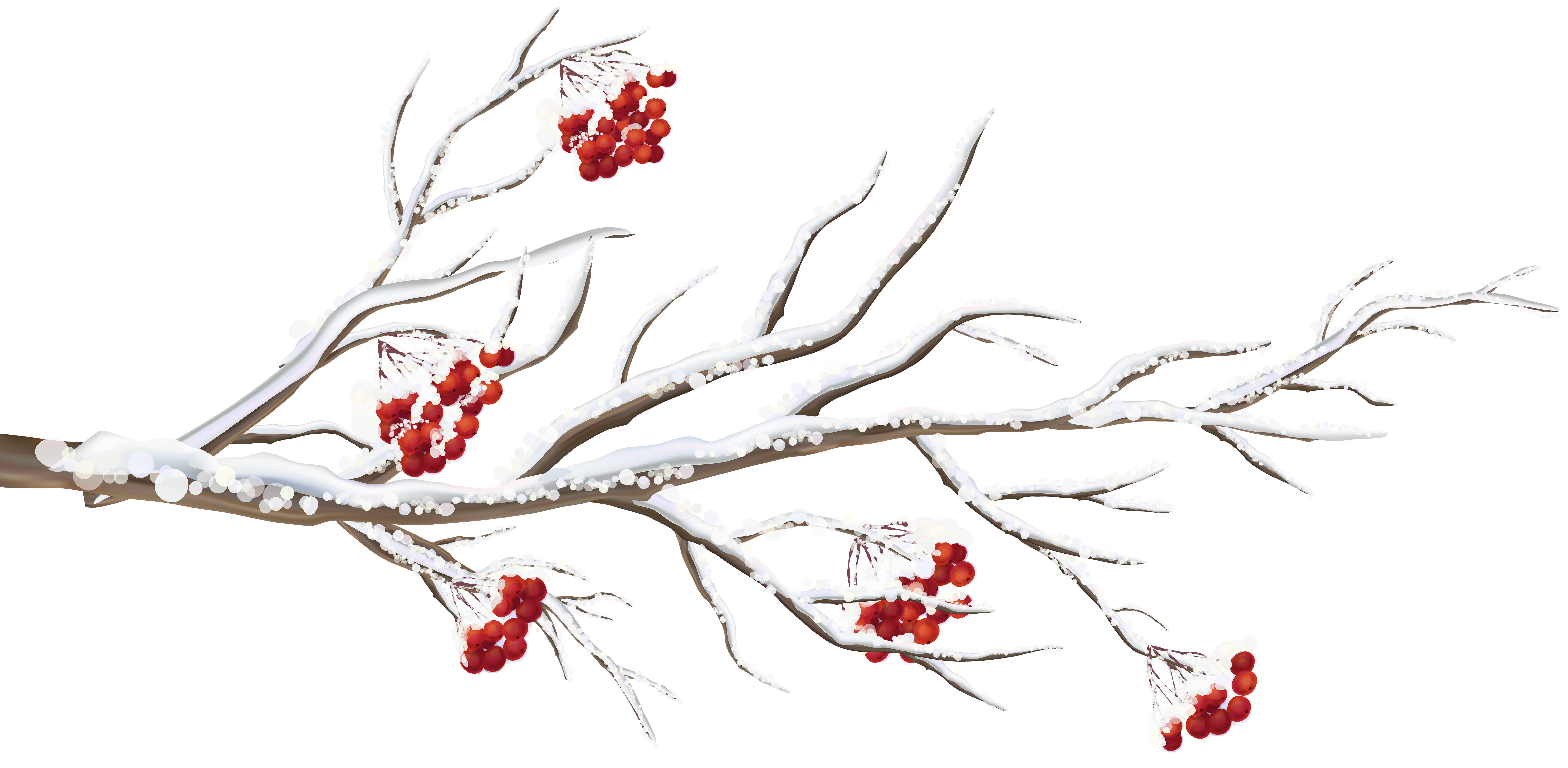 Winter Branch PNG Clip Art Image | Gallery Yopriceville - High 