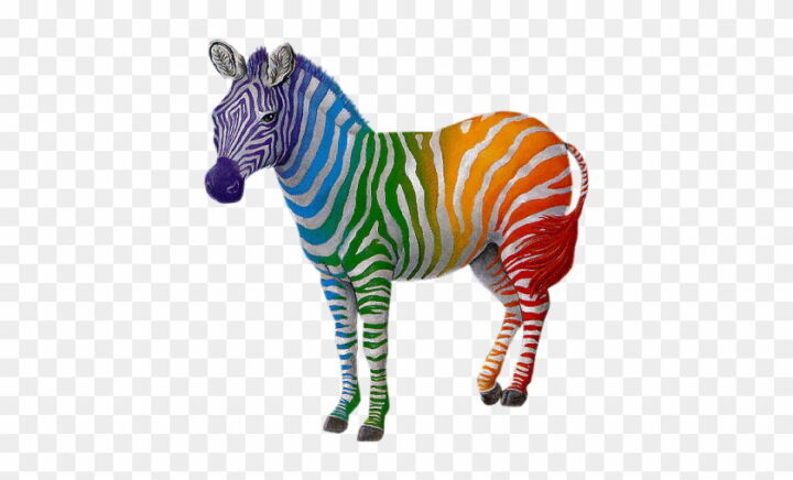 Free Colorful Zebra Cliparts Download Free Clip Art Free Clip Art On