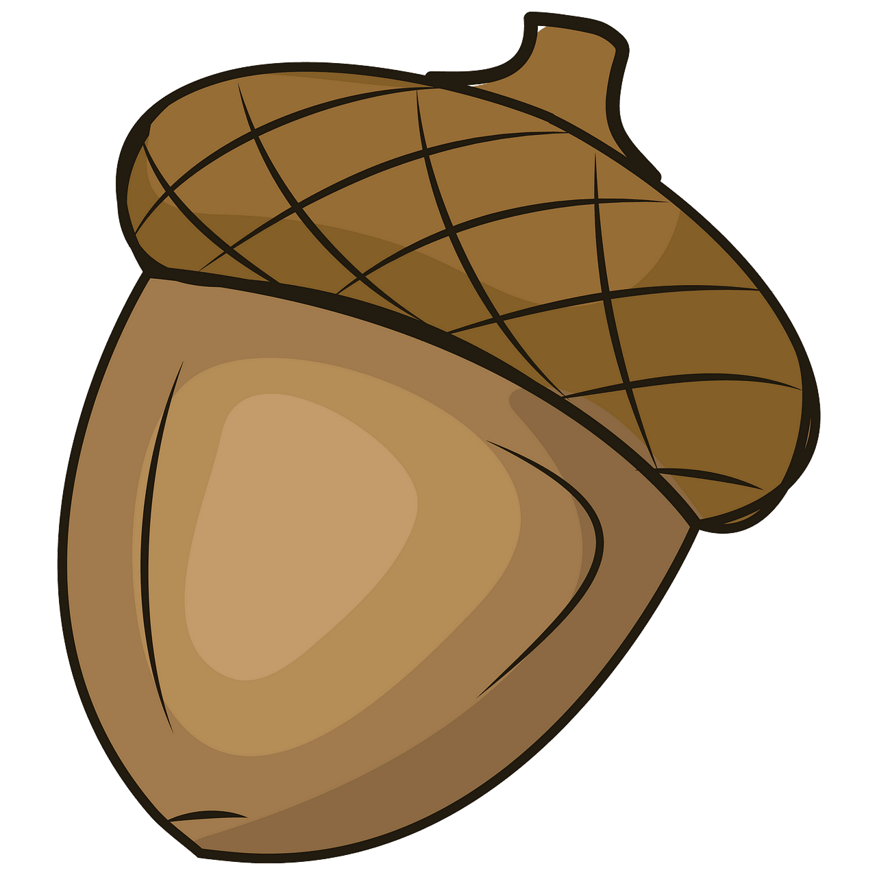 acorn-clipart-clip-art-library