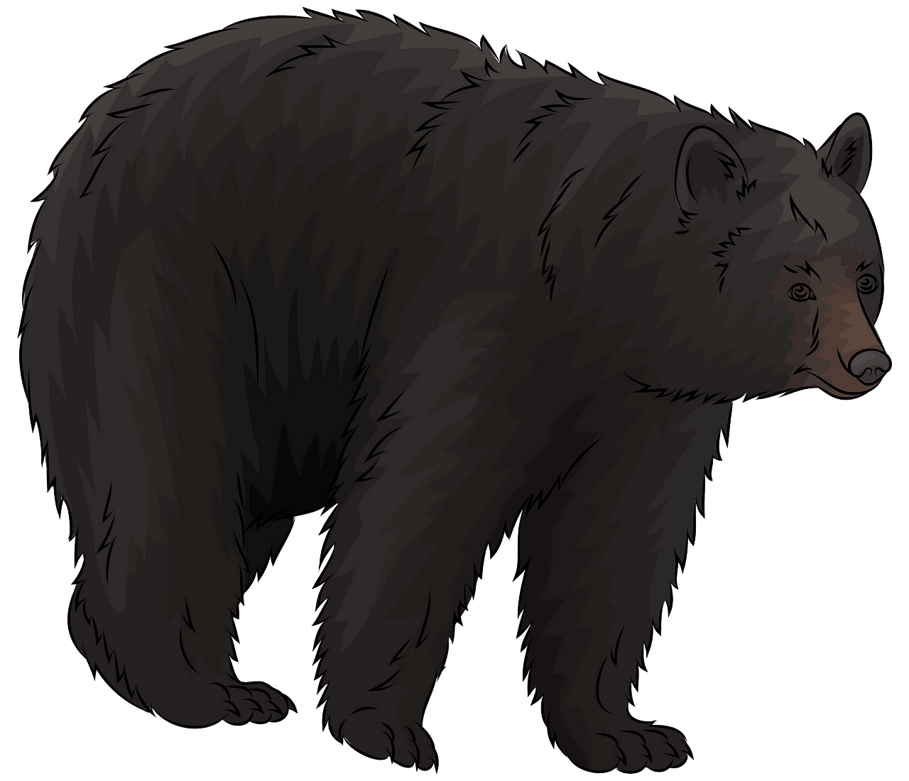 0 Result Images Of Black Bear Clipart Png PNG Image Collection