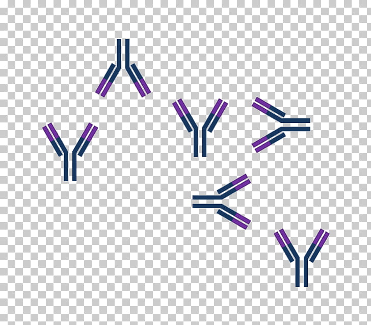 Free Antigen Cliparts Download Free Clip Art Free Clip Art On Clipart Library