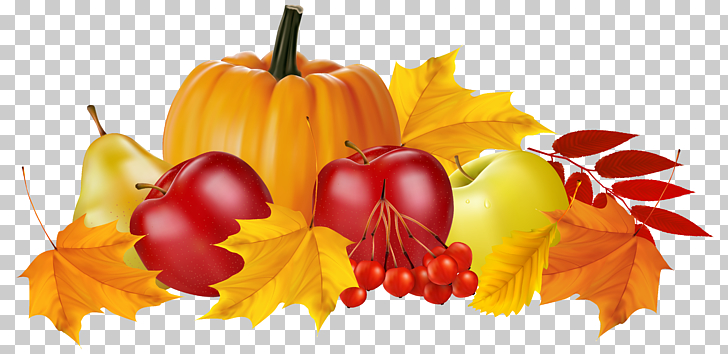 Autumn , Autumn Pumpkin and Fruits , pumpkin between apples