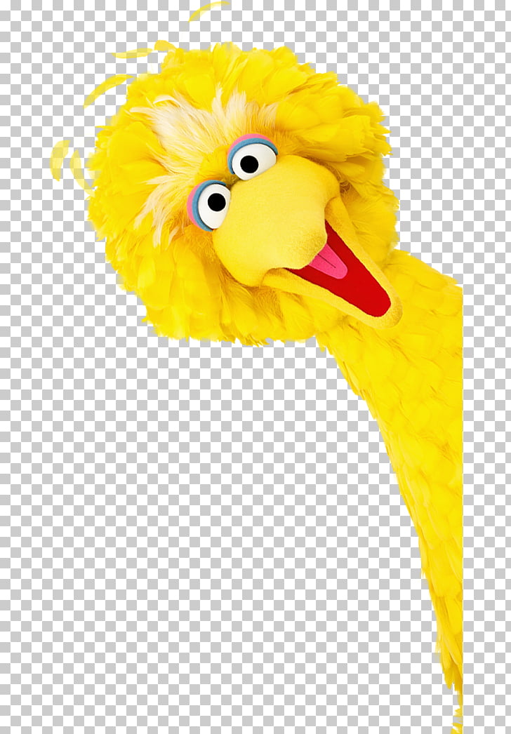 baby big bird clipart