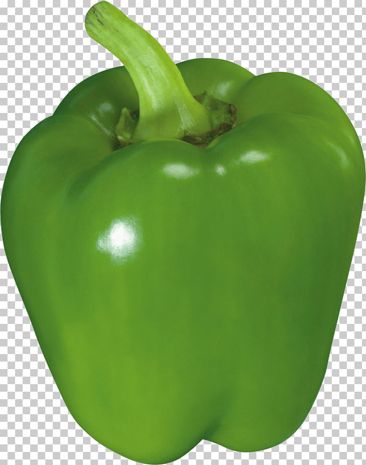 Bell pepper Chili pepper Jalape?�o, Green Pepper PNG clipart | free 