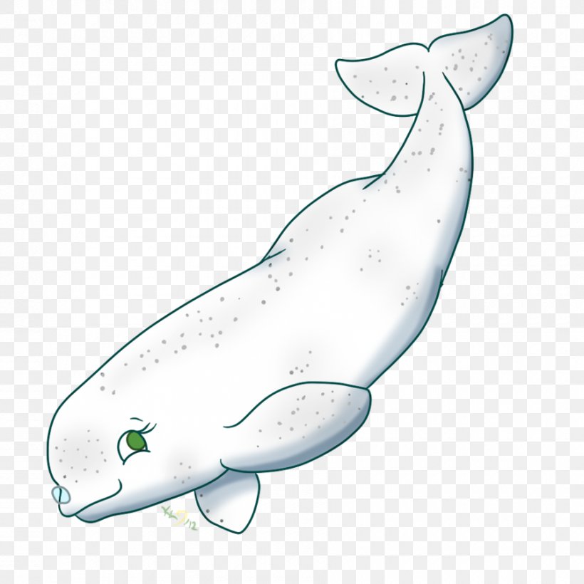 Beluga Whale Drawing Clip Art, PNG, Beluga Whale 