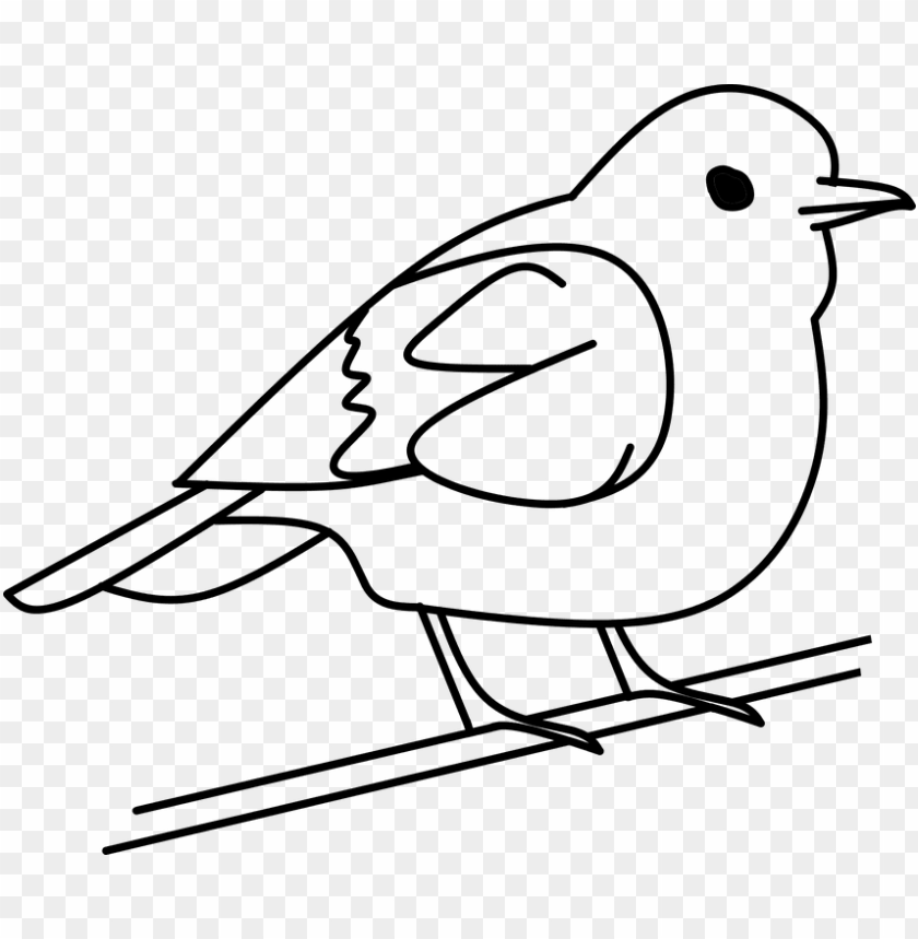 bird clipart for print out - bird black and white clip art PNG 