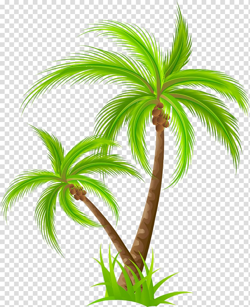 Coconut trees illustration, Birthday , coconut tree transparent 