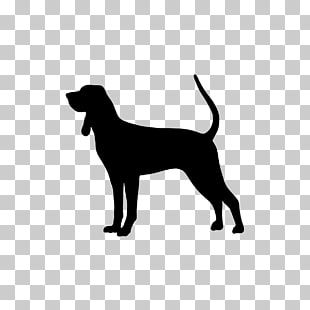 12 Bluetick Coonhound PNG cliparts for free download 